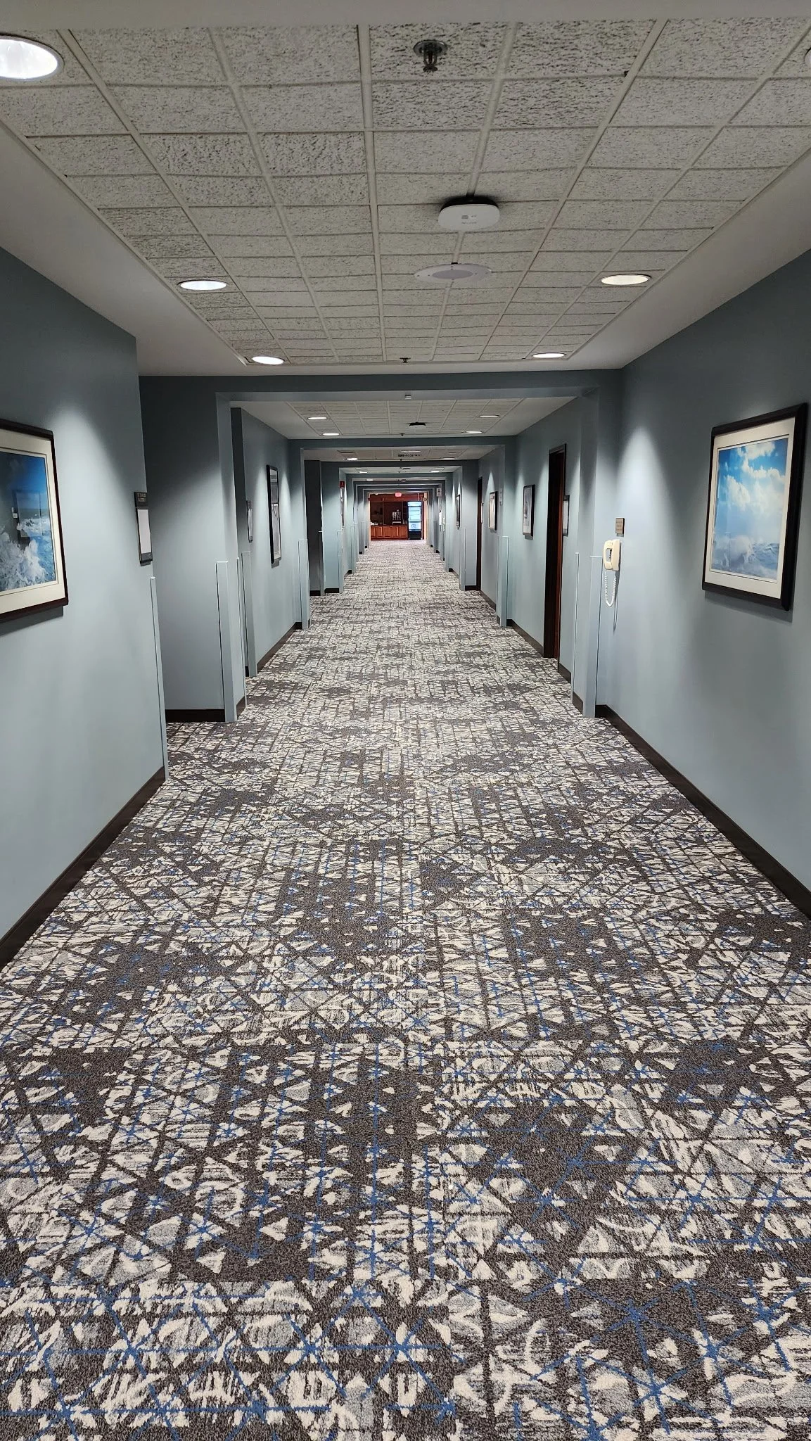 Q Center in St. Charles, IL

Carpet Tile