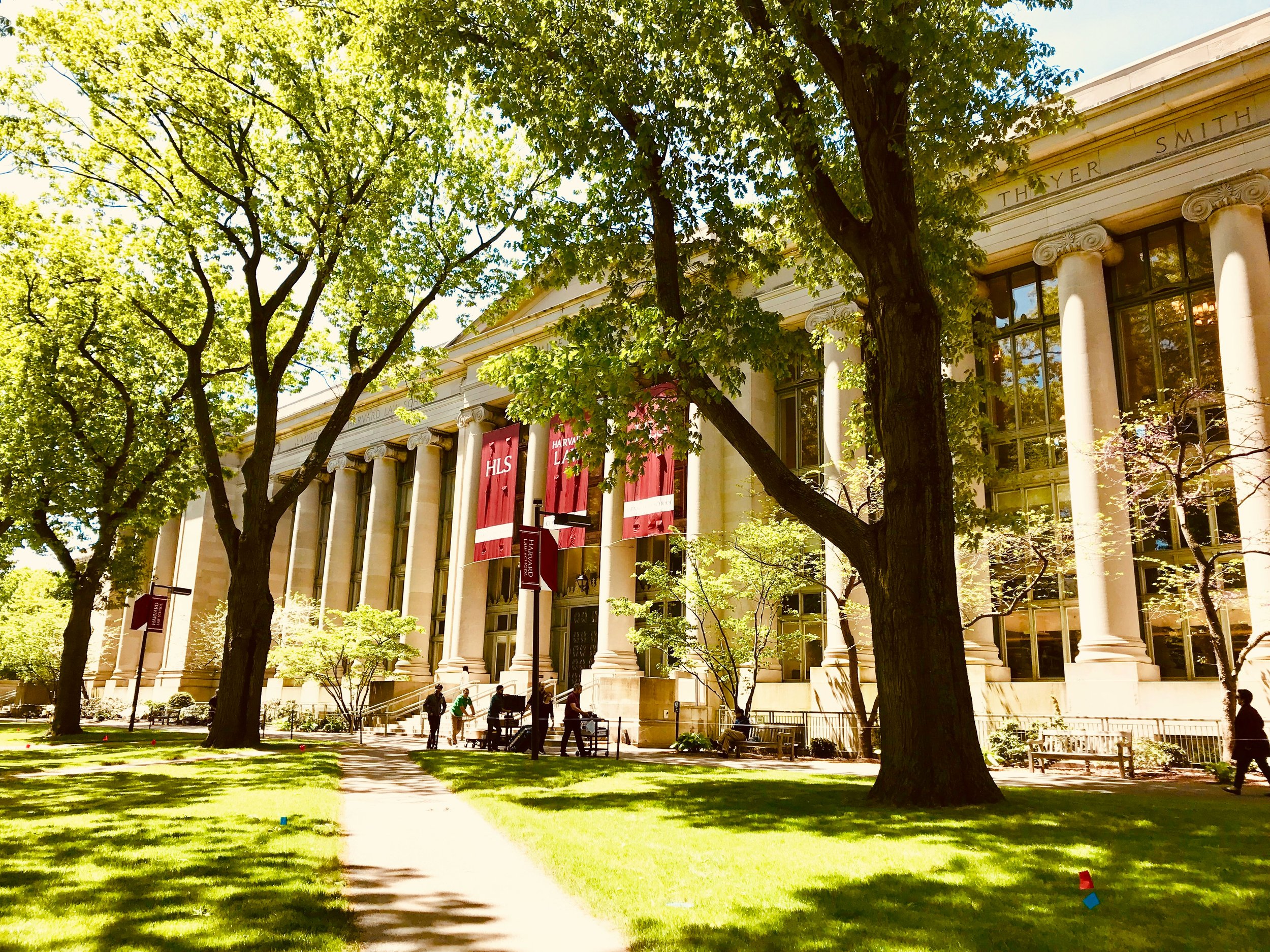 Exterior view of Harvard Law School building with large windows, columns, and red banners, surrounded by trees and a grassy lawn with a sidewalk and people walking.