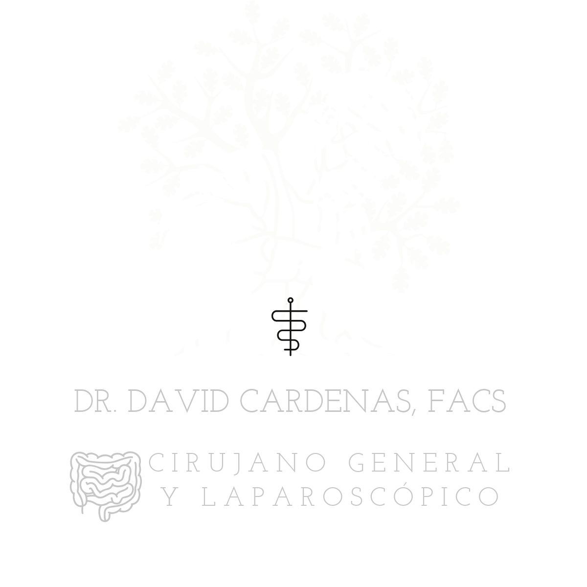Dr. David Cardenas Reyes, FACS. Especialista en Cirugia General Laparoscópica, Bariátrica y Hernias.
