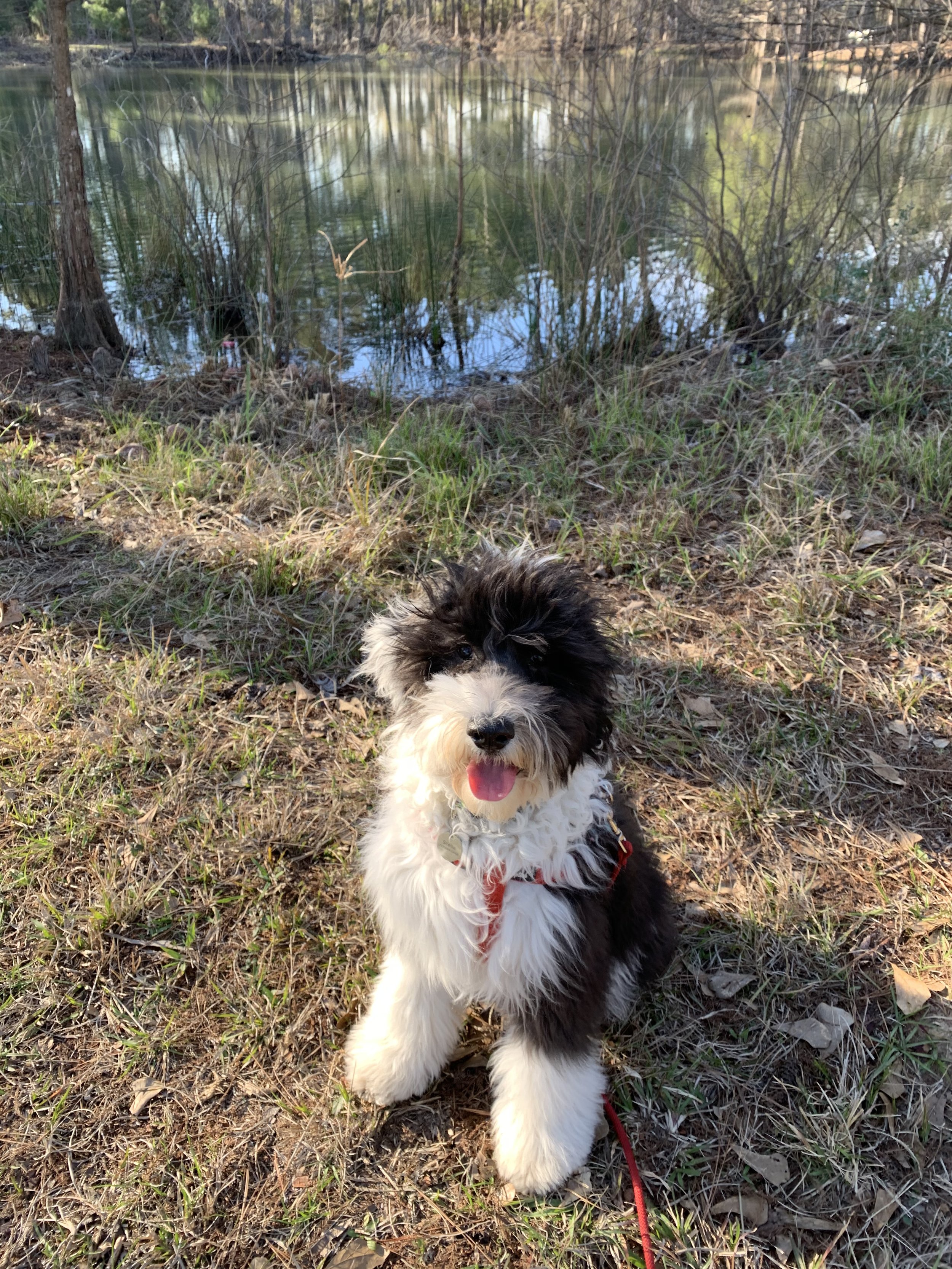 60 min Adventure Hike