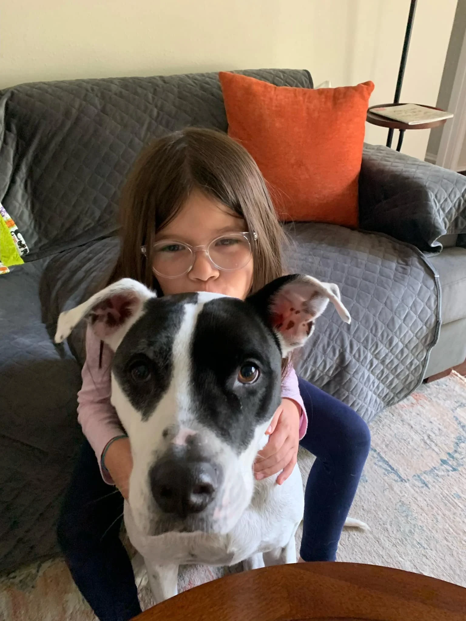 A young girl with glasses hugging a large black and white dog in a living room with a gray quilted sofa and an orange pillow.