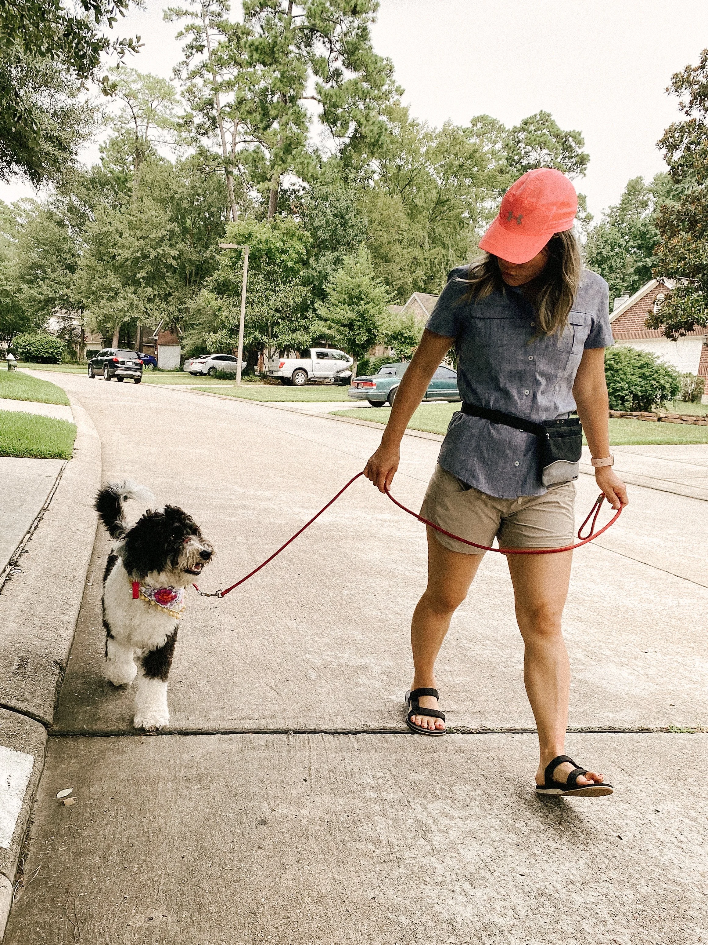 Dog Walking Subscription