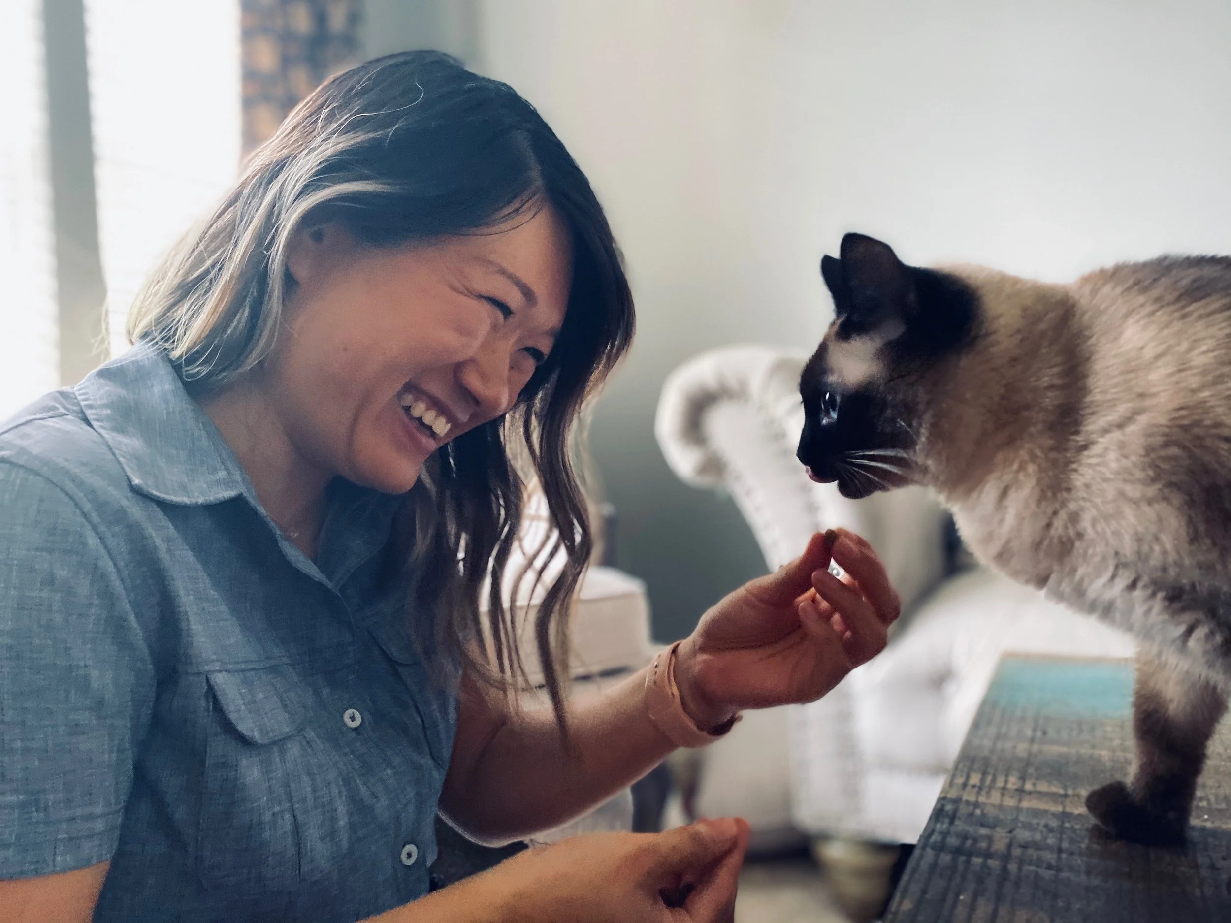 30 min In Home Pet Sitting