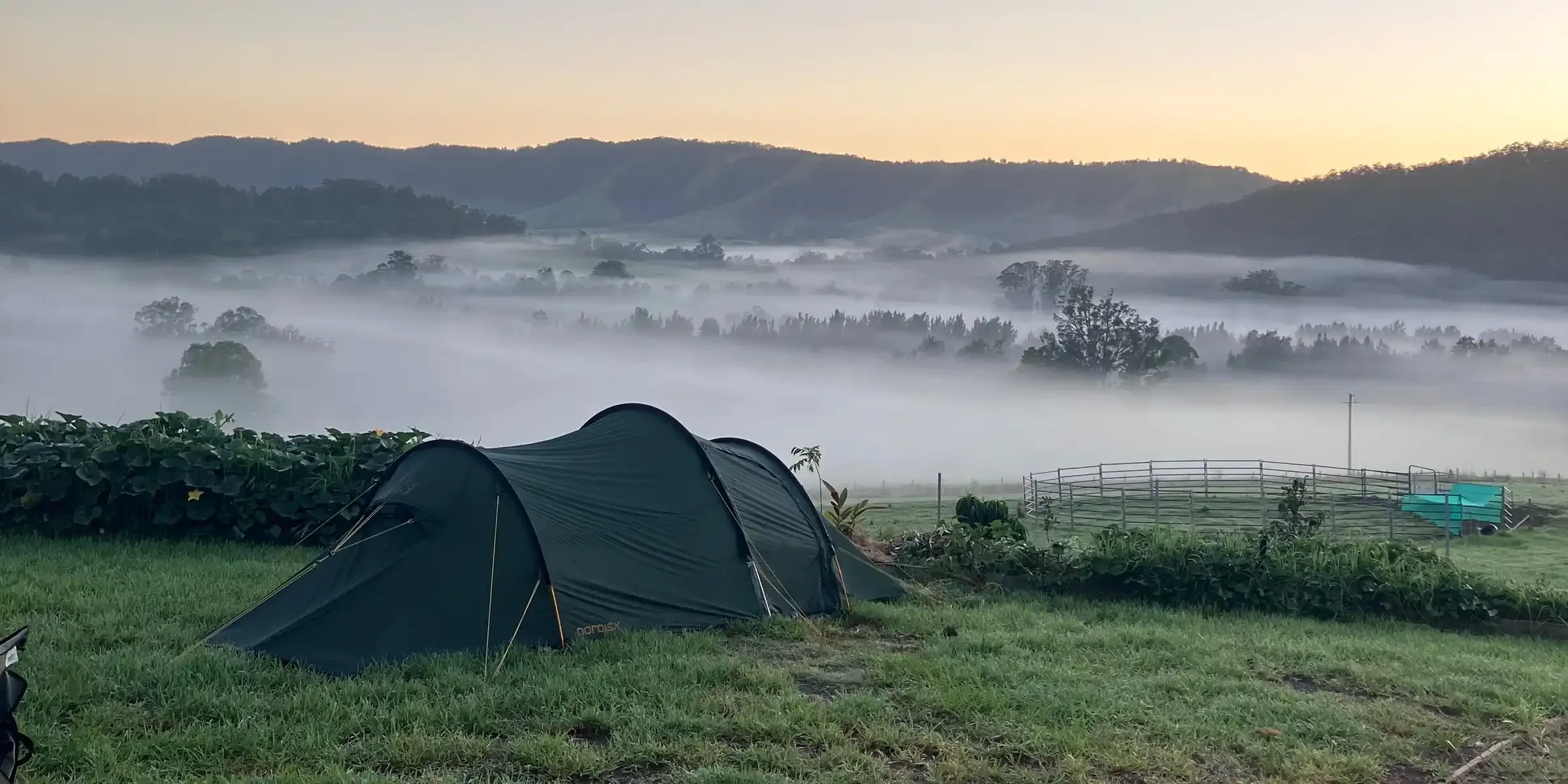 Waking Country