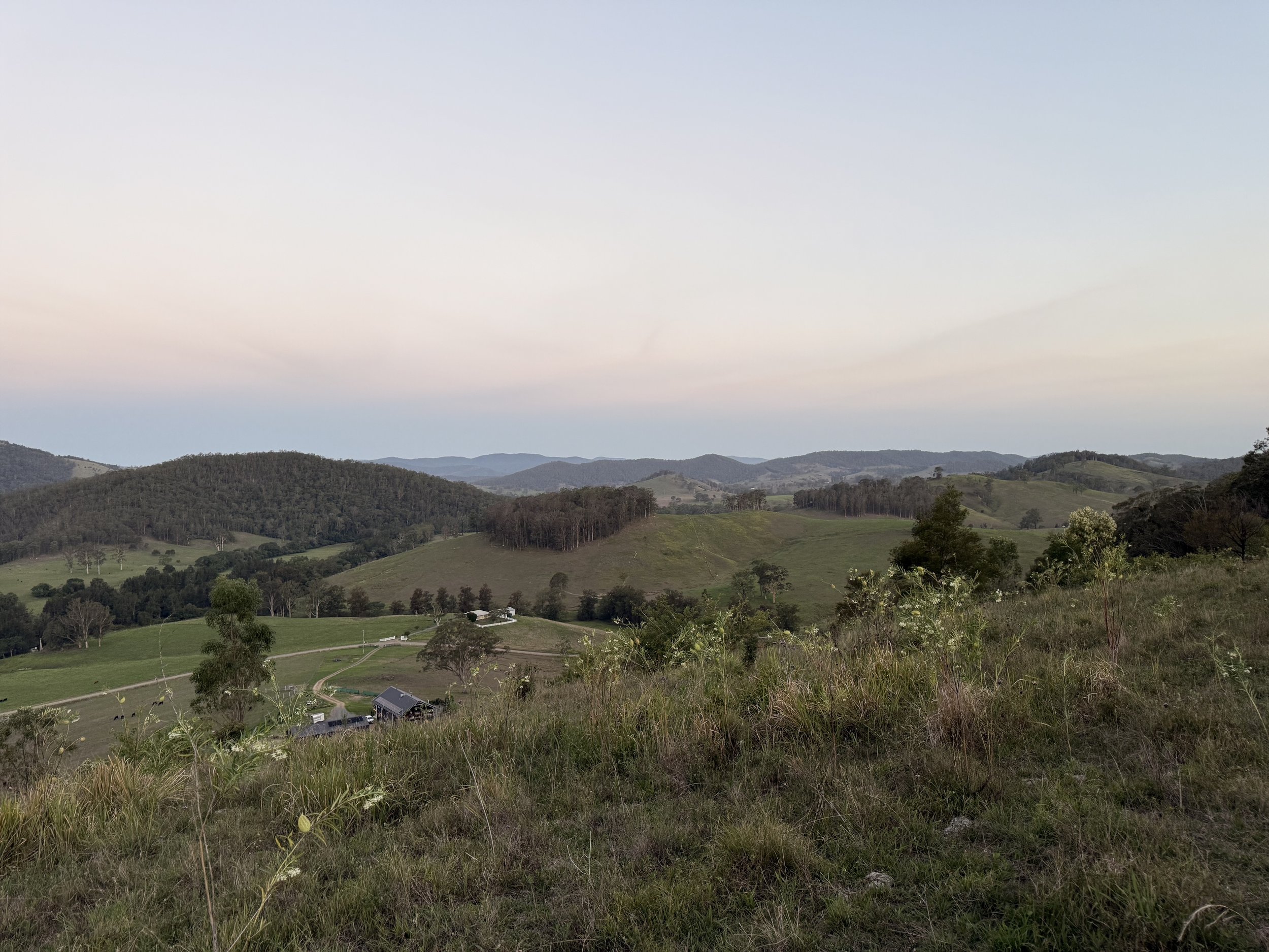 A scenic view of rolling green hills, sparse trees, and distant mountains under a pastel-colored sky at sunset.
