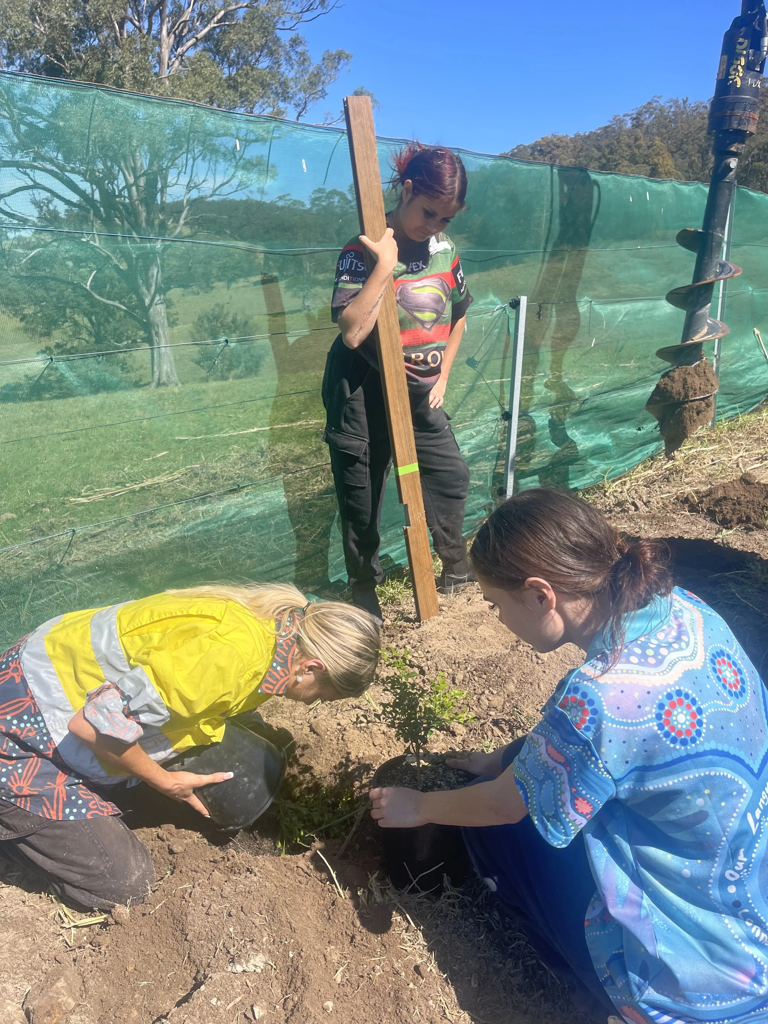 Three women planting a small tree in a garden with a green fence and trees in the background under clear blue sky.
