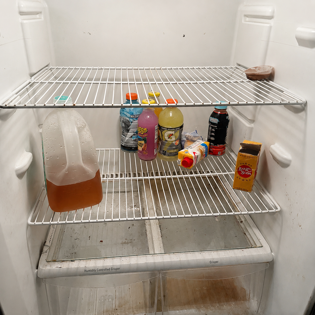 Dirty Fridge Cleaner