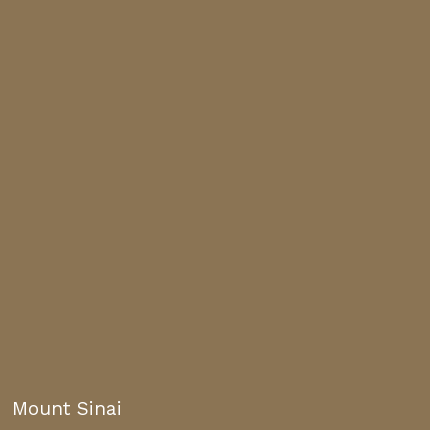 SIREWALL Color - Mount Sinai