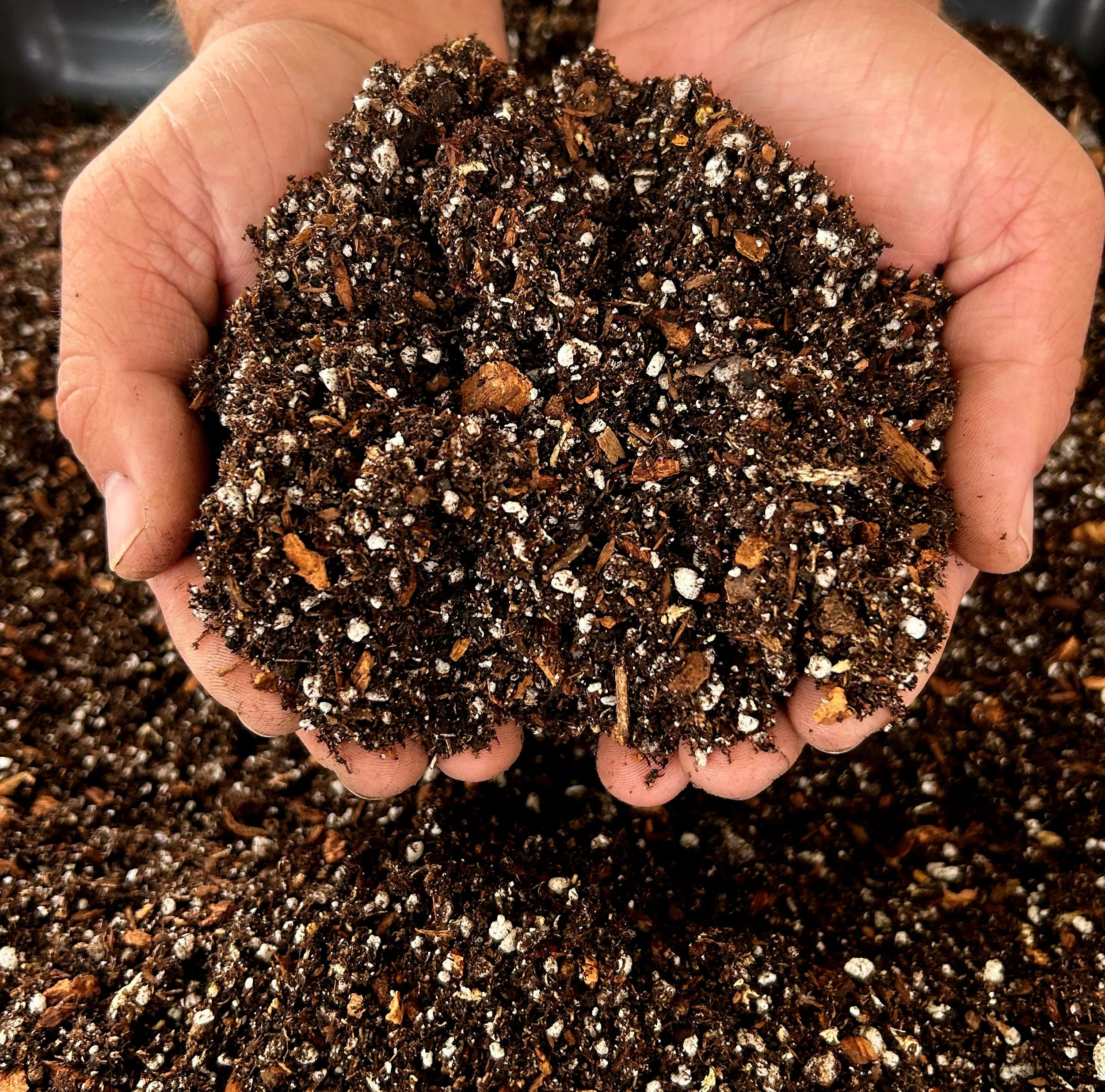 A person's hand holding a large amount of soil or potting mix with organic matter and perlite particles, above more of the same soil spread on a surface.