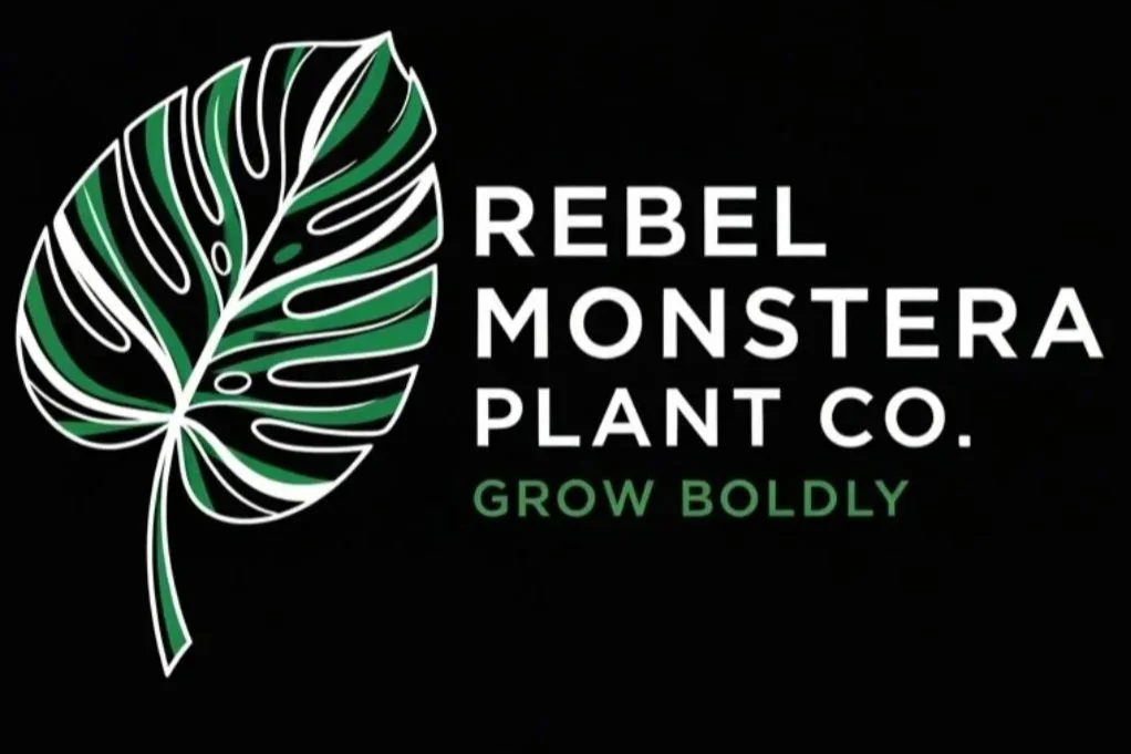 Logo of Rebel Monstera Plant Co., featuring a stylized green monstera leaf on a black background with the text 'Rebel Monstera Plant Co.' and the slogan 'Grow Boldly'.