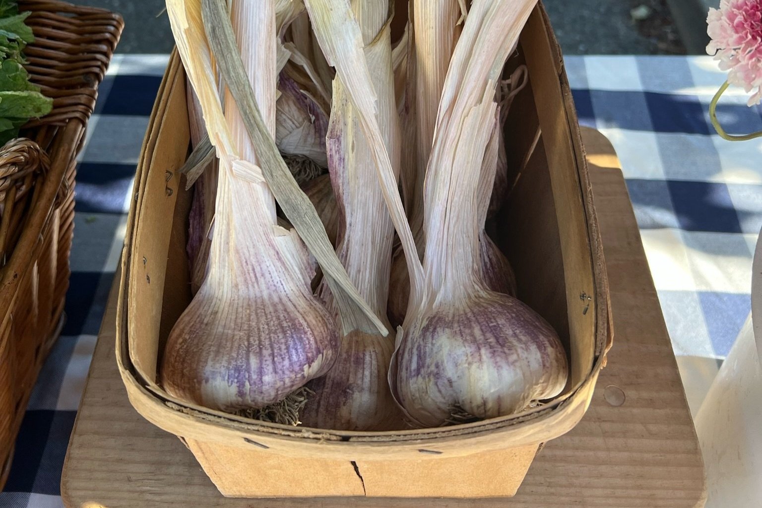 Several garlic bulbs with long stems in a cardboard box on a wooden surface.