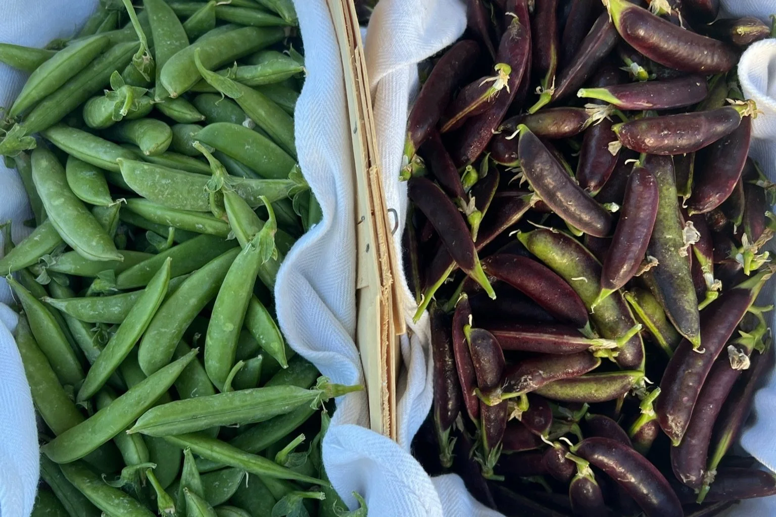 Fresh green sugar snap peas on the left side and purple pepperoncini peppers on the right side, separated by a wooden divider, all resting on white cloth.