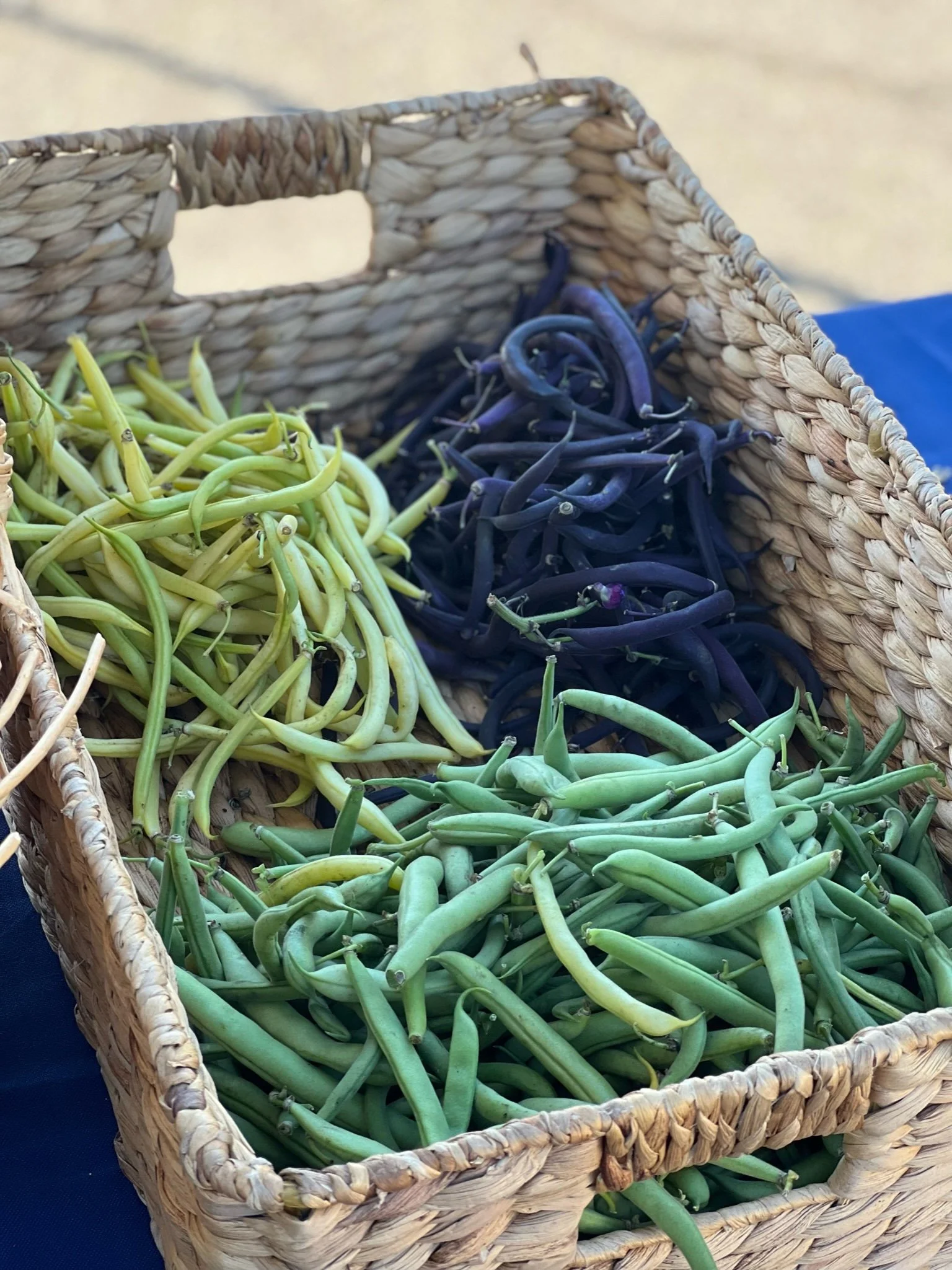 Three sections of a woven basket filled with different colored beans: yellow, dark purple, and light green.