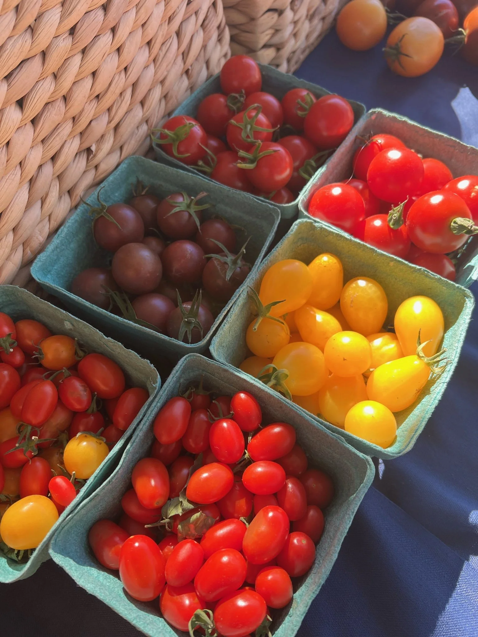 Various baskets of colorful cherry tomatoes, including red, yellow, and purple, displayed on a table at a market or store.