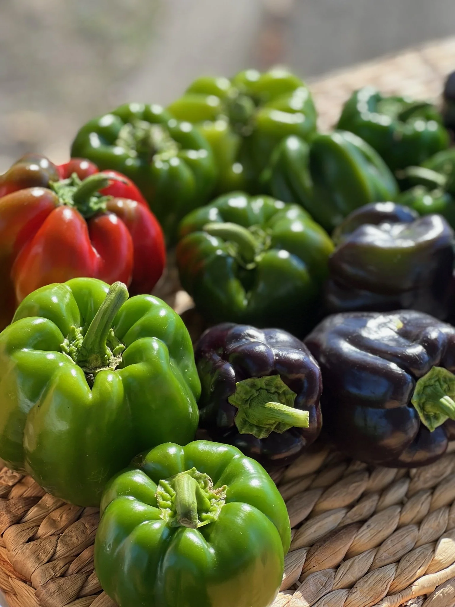 Various colorful bell peppers, including green, red, and purple, arranged on a woven surface.