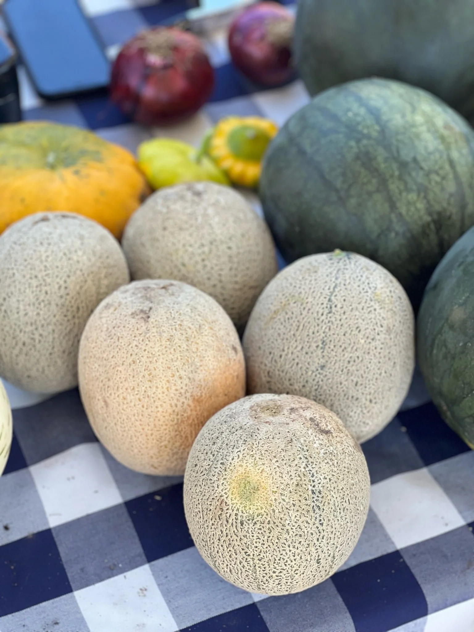 Four cantaloupe melons with textured skin displayed on a checkered tablecloth.
