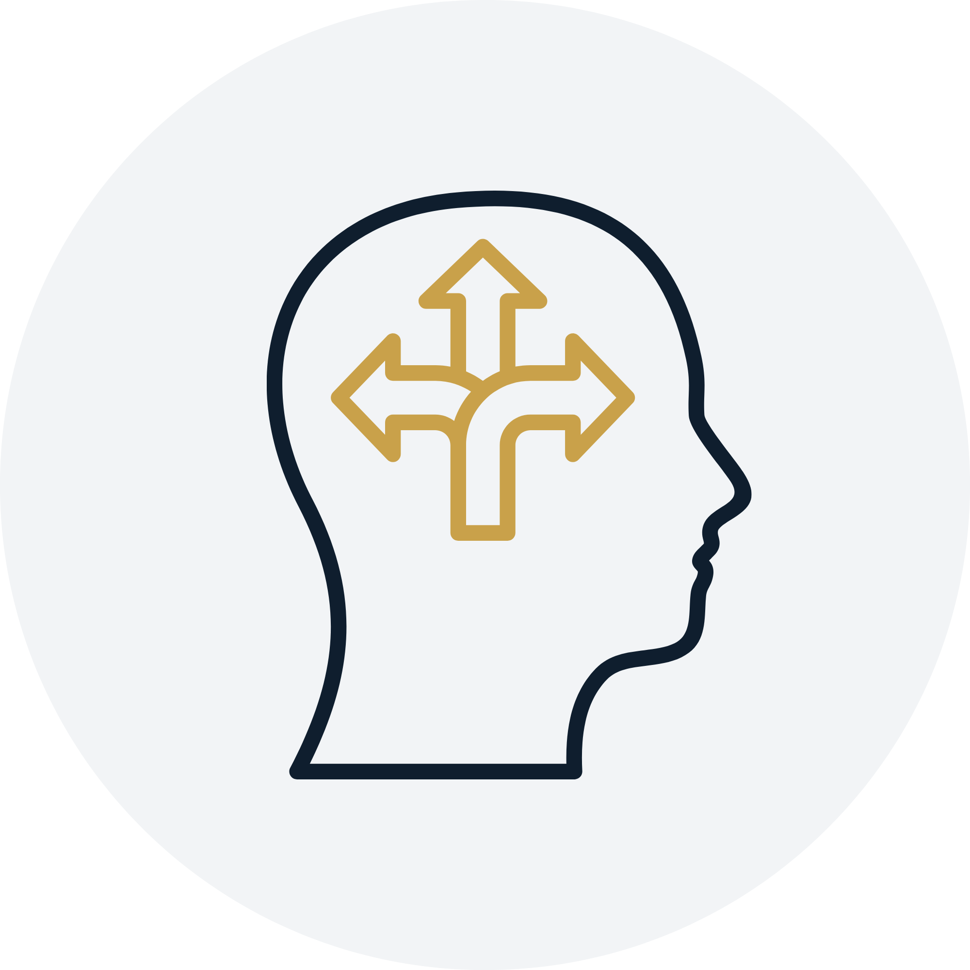 Senior commercial capability on a flexible basis