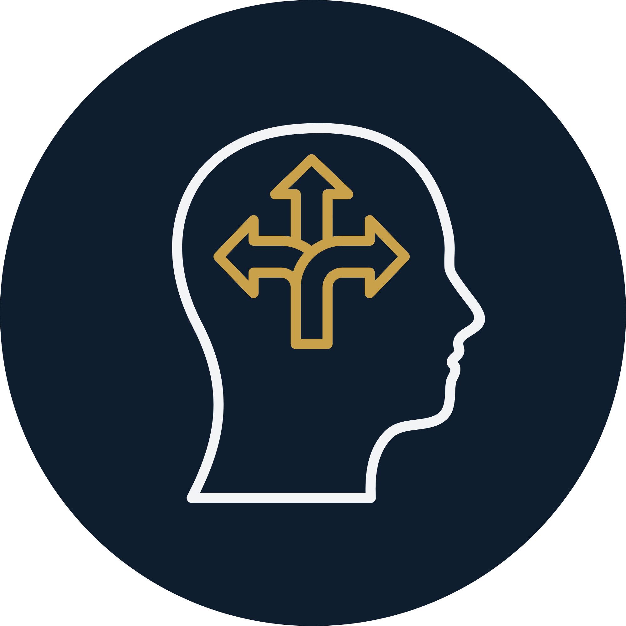 Outline of a human head profile with a graphic of a directional decision-making icon inside the head.