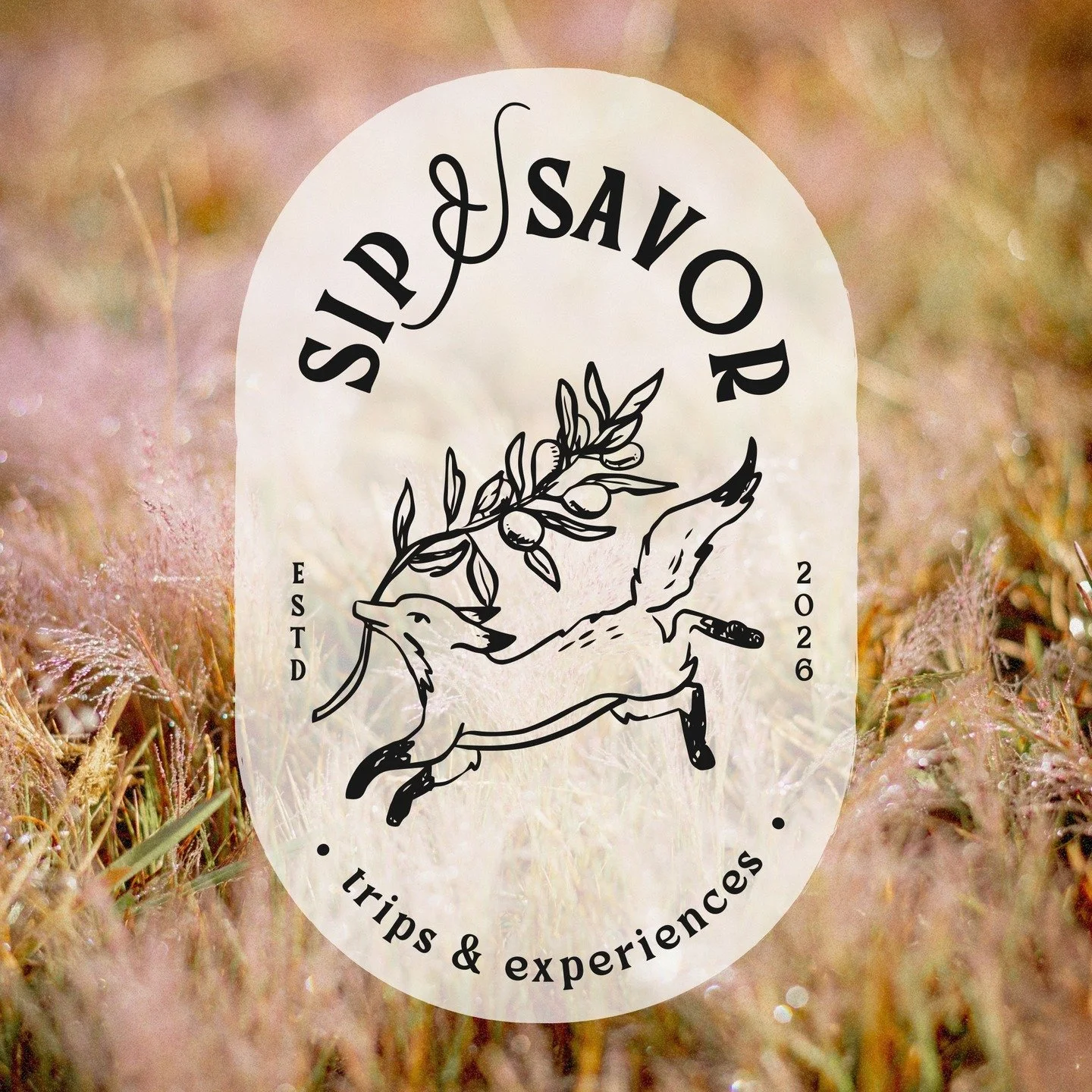 We create unhurried journeys through Europe&rsquo;s most beautiful wine regions for travelers who believe the best way to understand a place is through its food, its wine, and the people who make them.

Think long vineyard lunches, quiet village morn