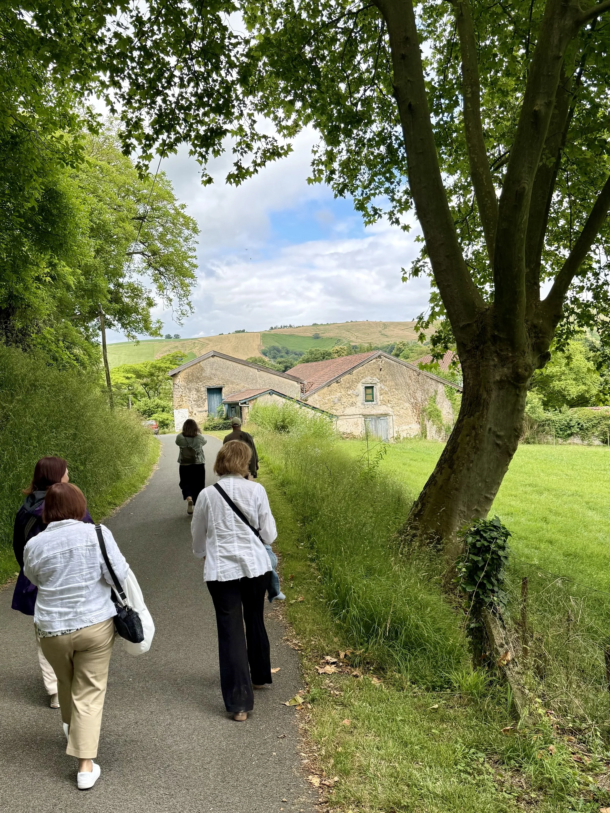 Walk to an archaeological cave visit