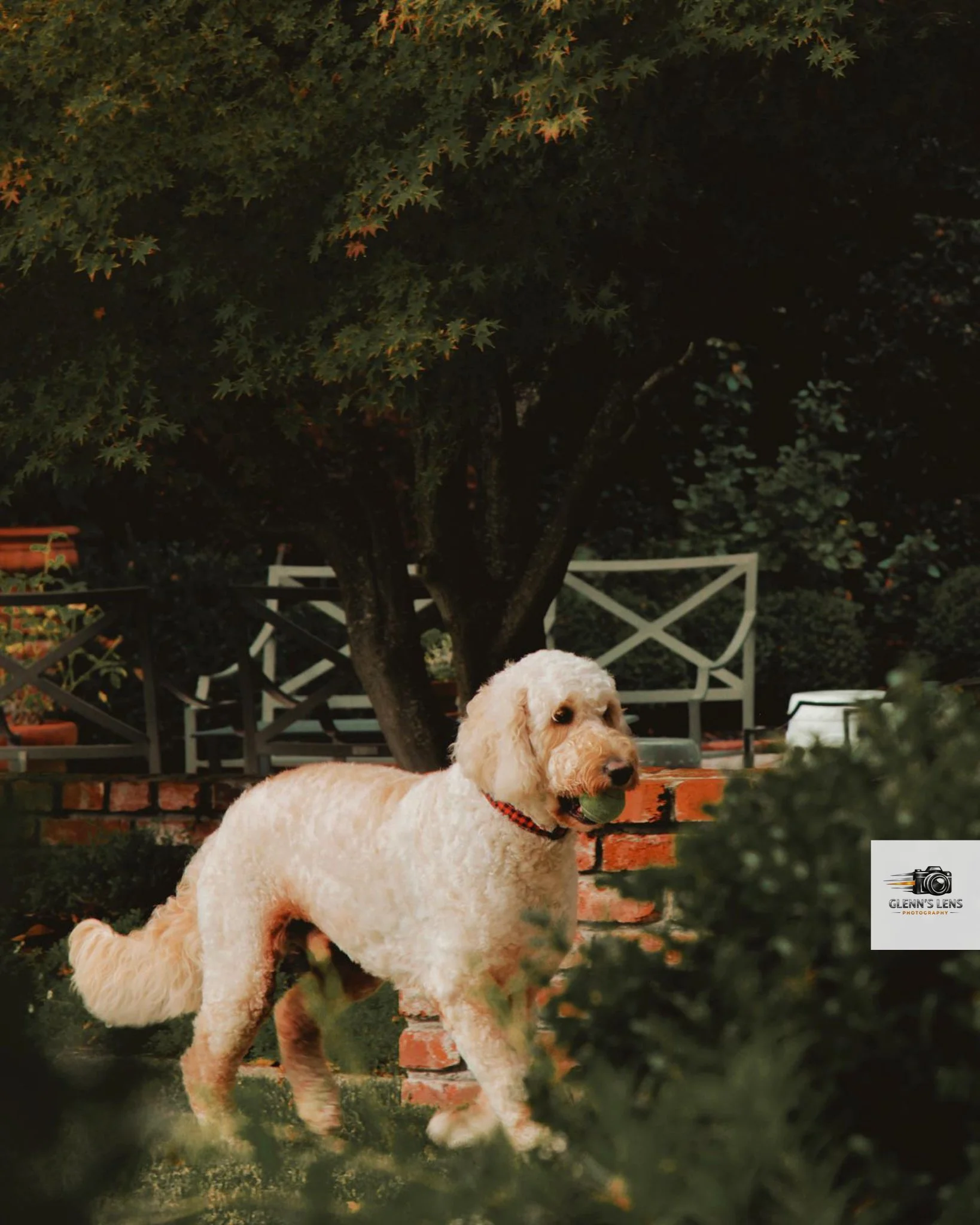 WhatsApp Image 2025-12-20 at 15.08.36_211c8dc5.jpg