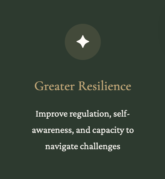 Green background with a star icon at the top. Text reads: "Greater Resilience" and "Improve regulation, self-awareness, and capacity to navigate challenges."
