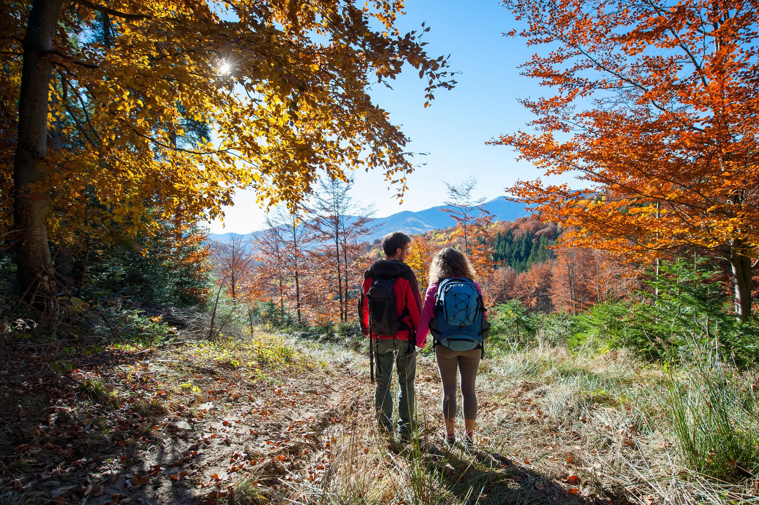 The Best Hikes Near Gatlinburg for Every Skill Level