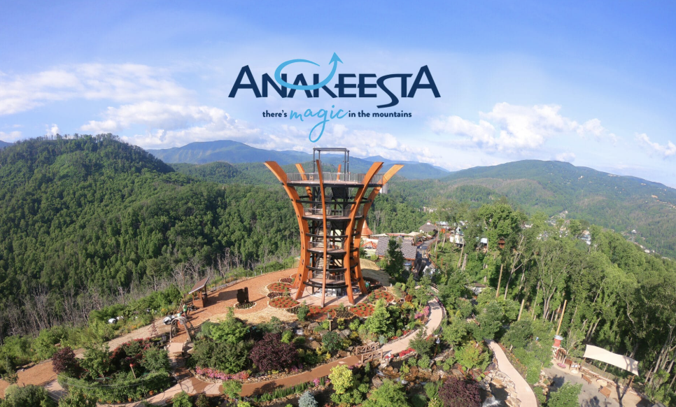 Treetop Skywalk at Anakeesta
