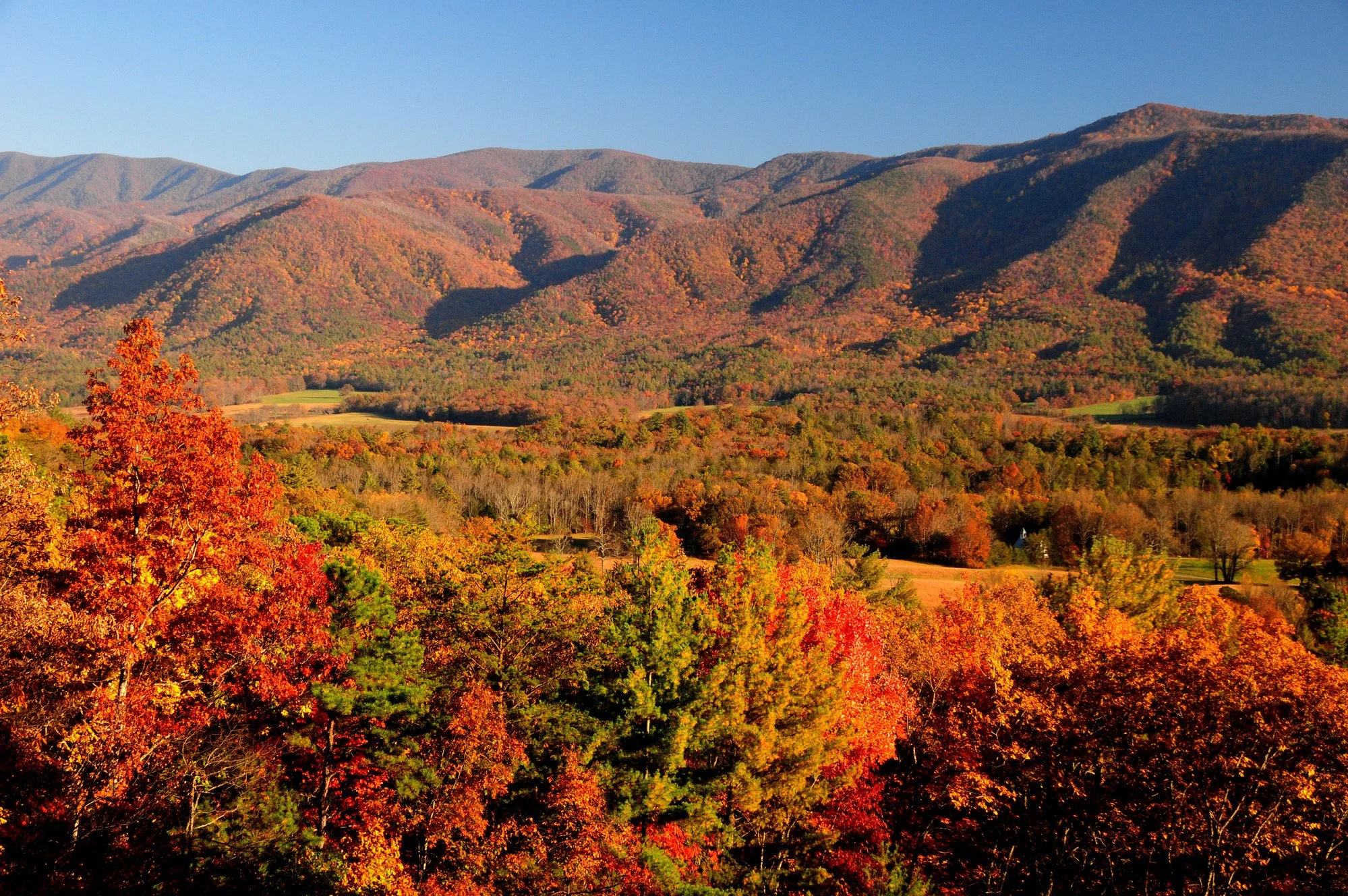 Peak Fall Foliage Dates in Gatlinburg: A Year-by-Year Breakdown