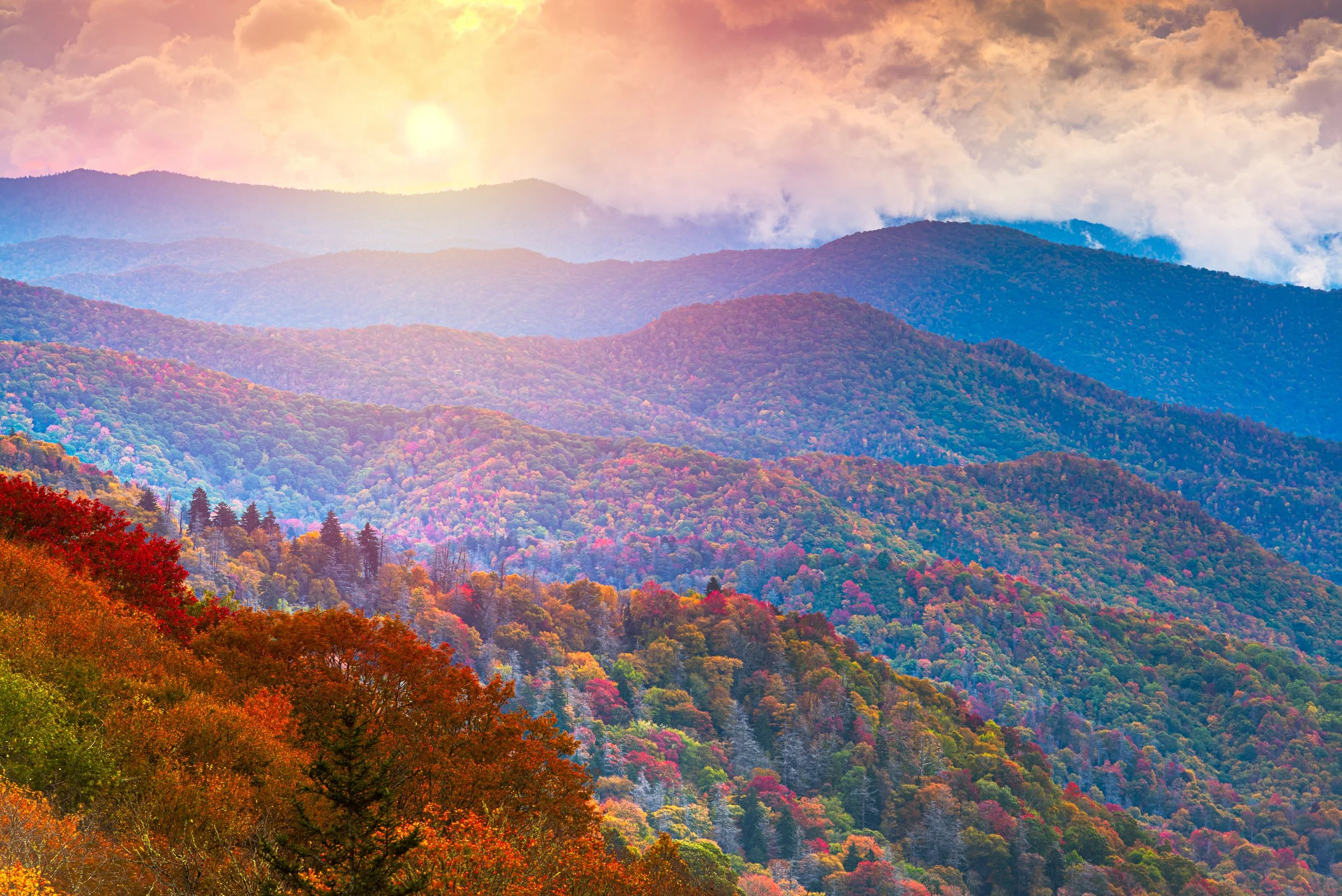 iStock-1275048049.jpg