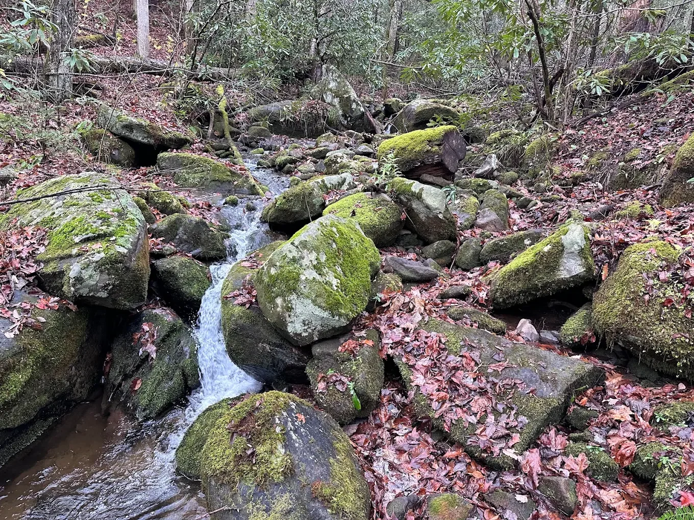 Old Settlers Trail