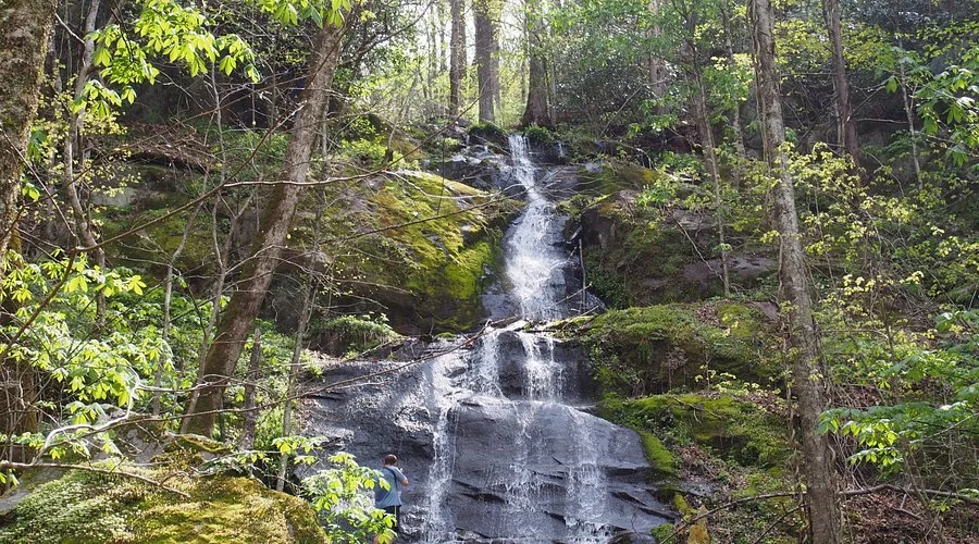 Porters Creek Trail