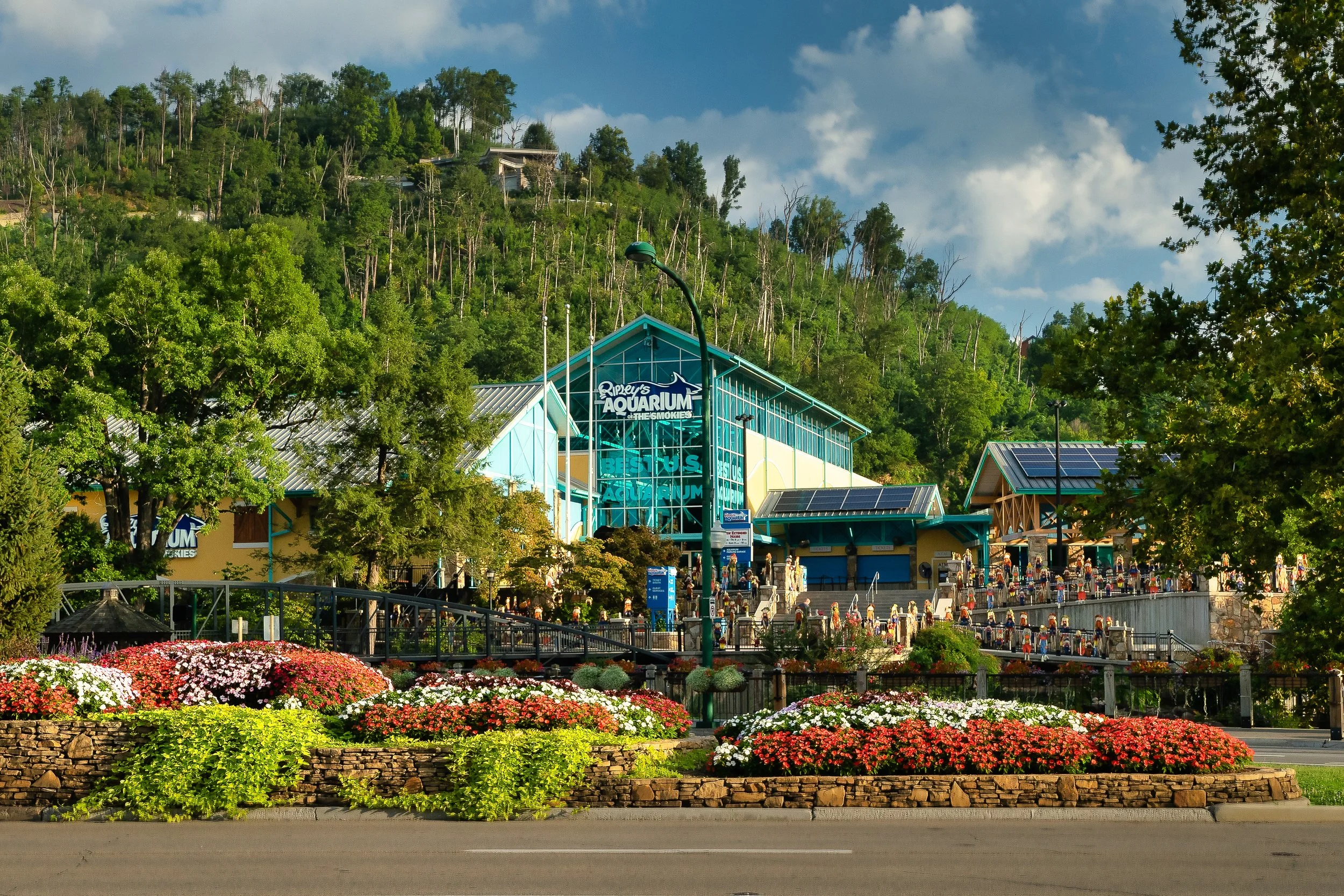 Ripley's Aquarium of the Smokies in Gatlinburg