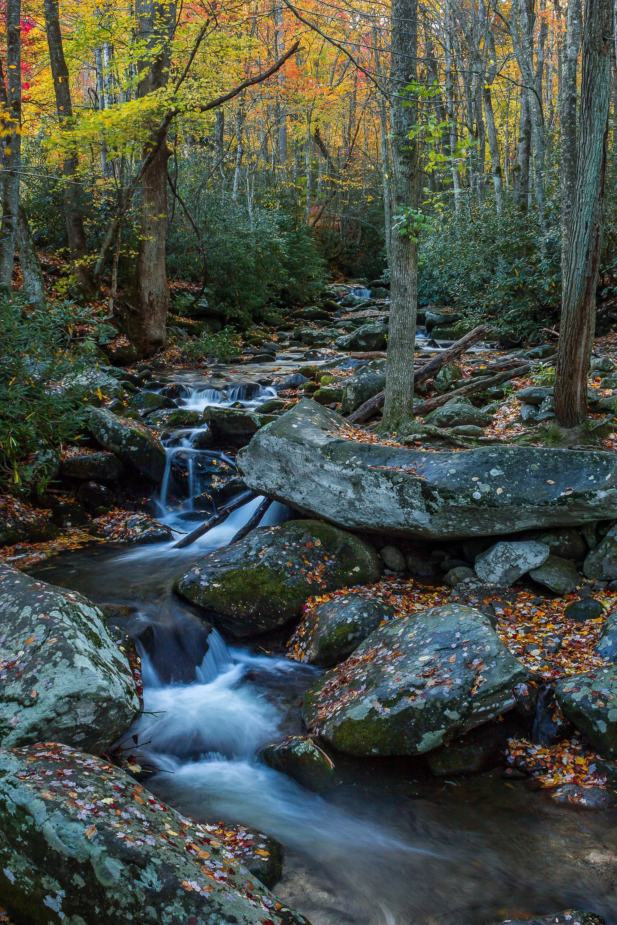 Rocky mountain stream in the Smokies