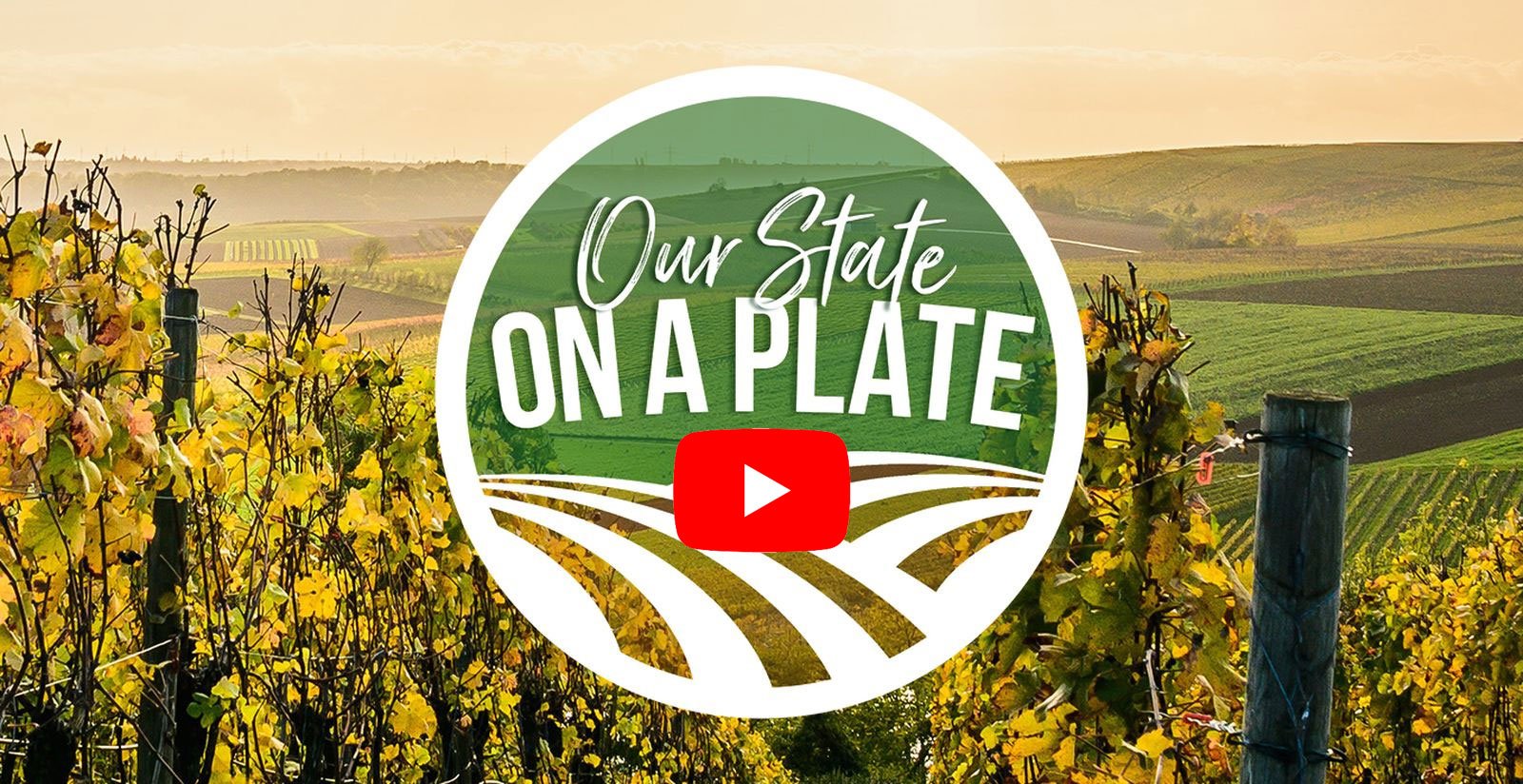 Halls Dairy on 'Our State on a Plate' - Channel 9