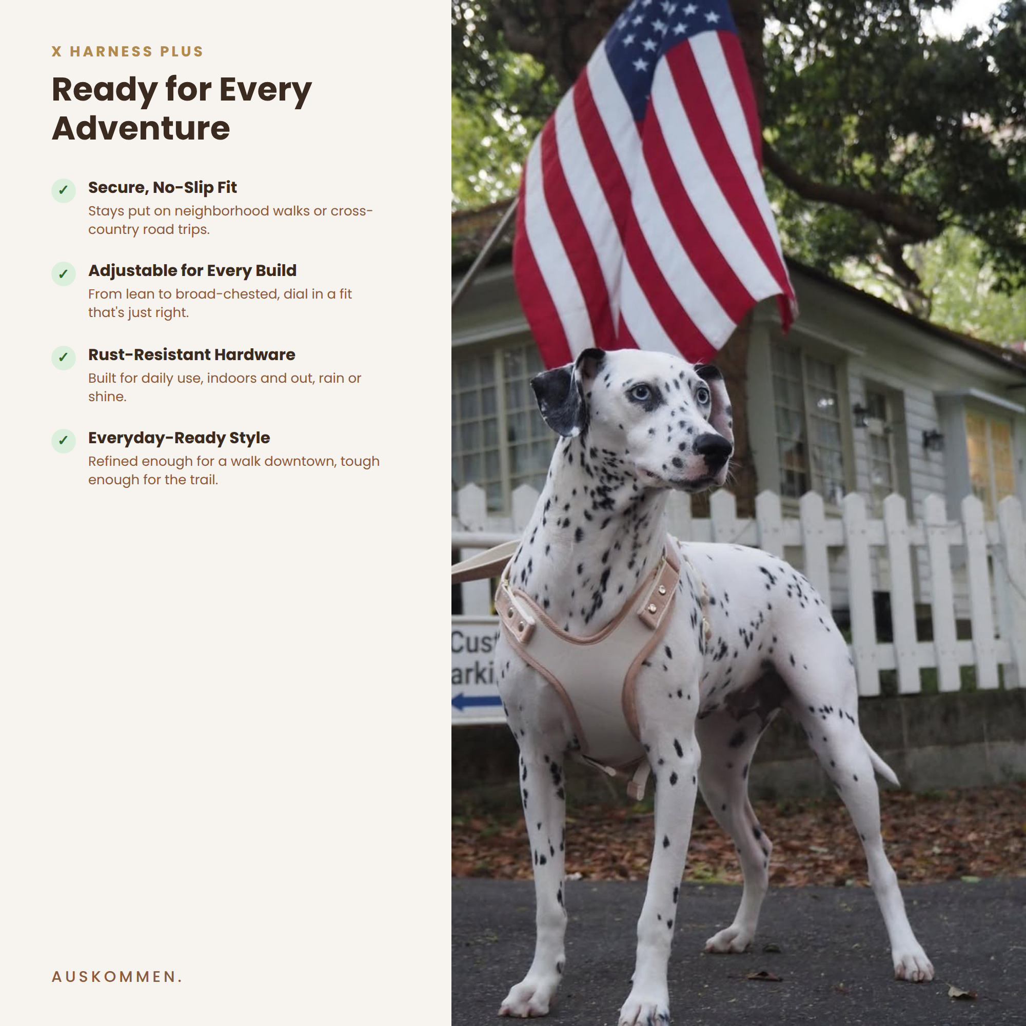 XHarnessPlus_EN_7_WearingExample_Dalmatian_SQUARE.png (Copy) (Copy) (Copy) (Copy) (Copy)