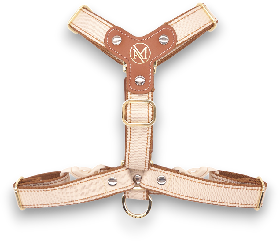 典藏米M 背面.png