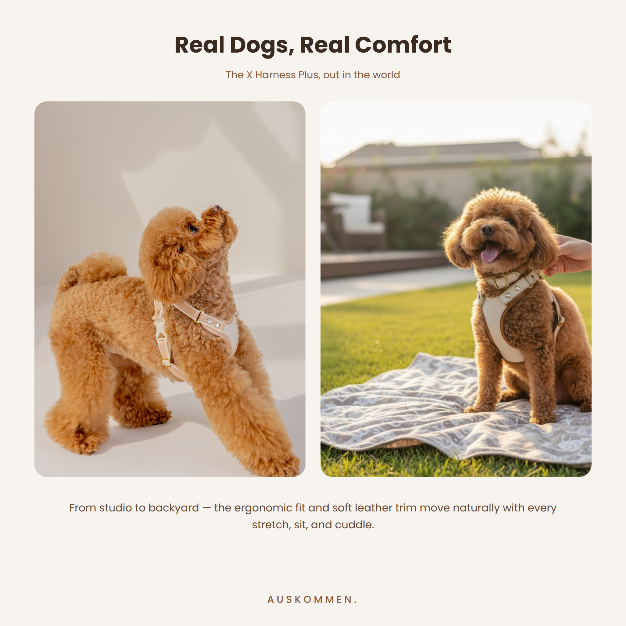 XHarnessPlus_HandleStyle_EN_4_Lifestyle_SQUARE.png (Copy) (Copy) (Copy) (Copy) (Copy)