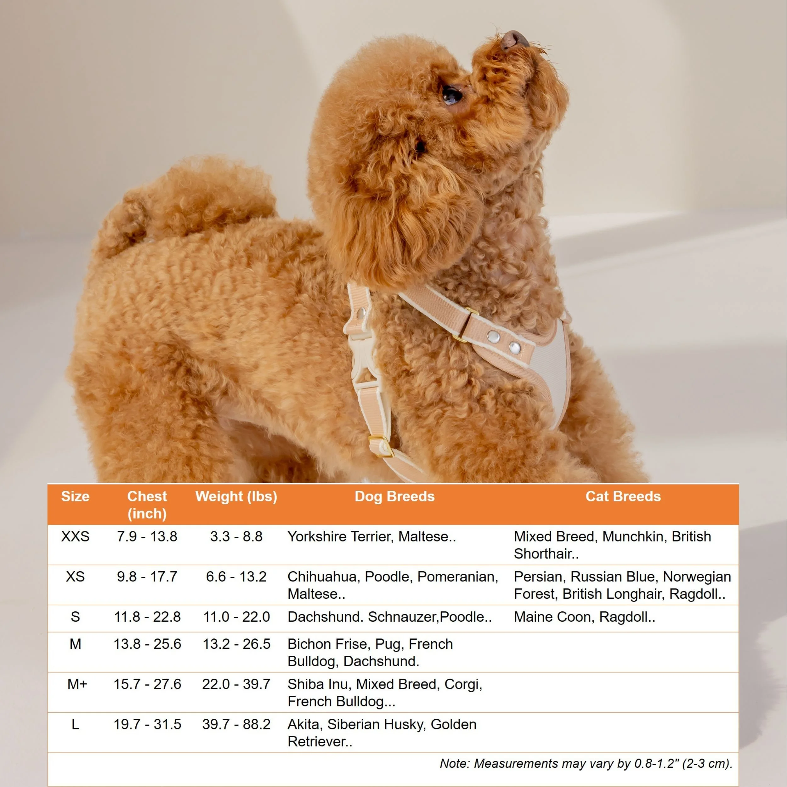 Y harness (2500 x 2500 像素) (5).jpg