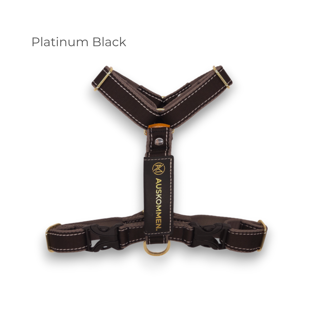 Y Harness  Platinum Black