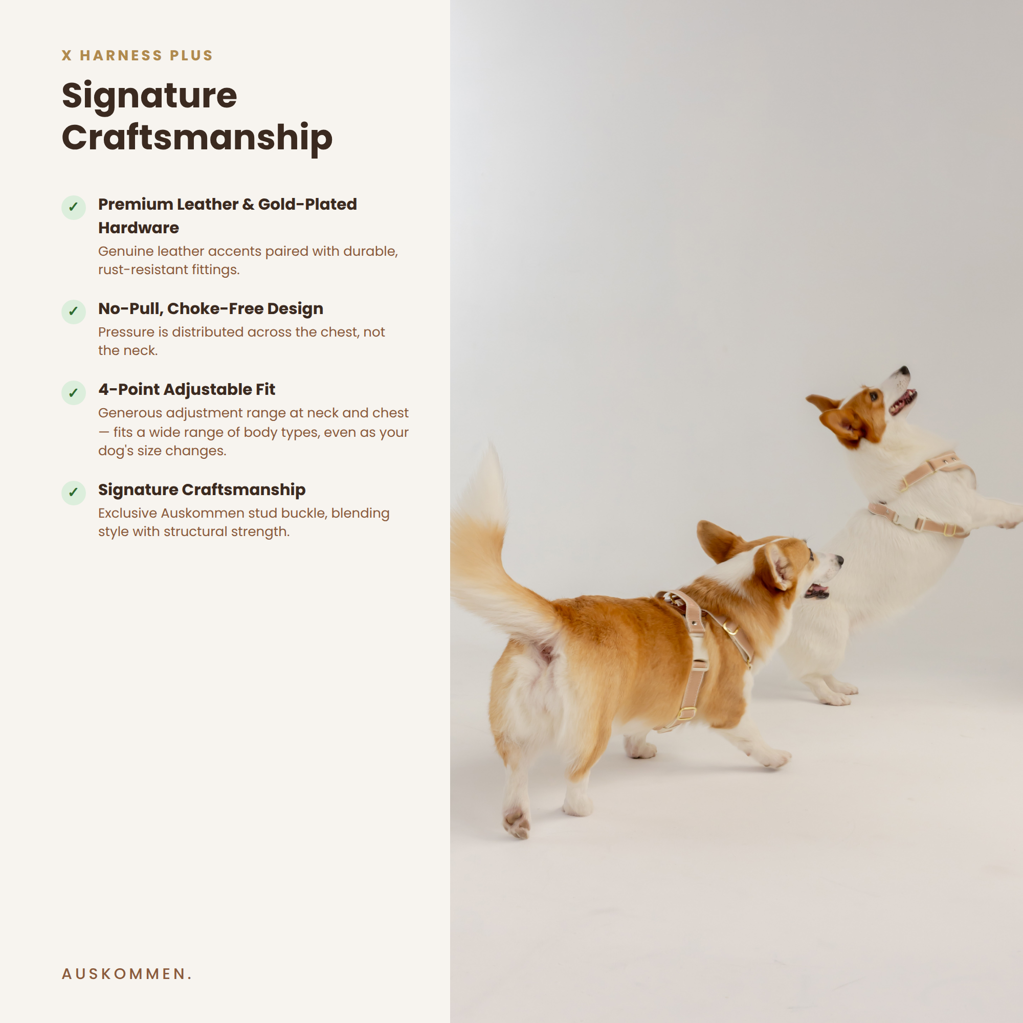 XHarnessPlus_EN_SignatureCraftsmanship_SQUARE.png (Copy) (Copy) (Copy) (Copy) (Copy)