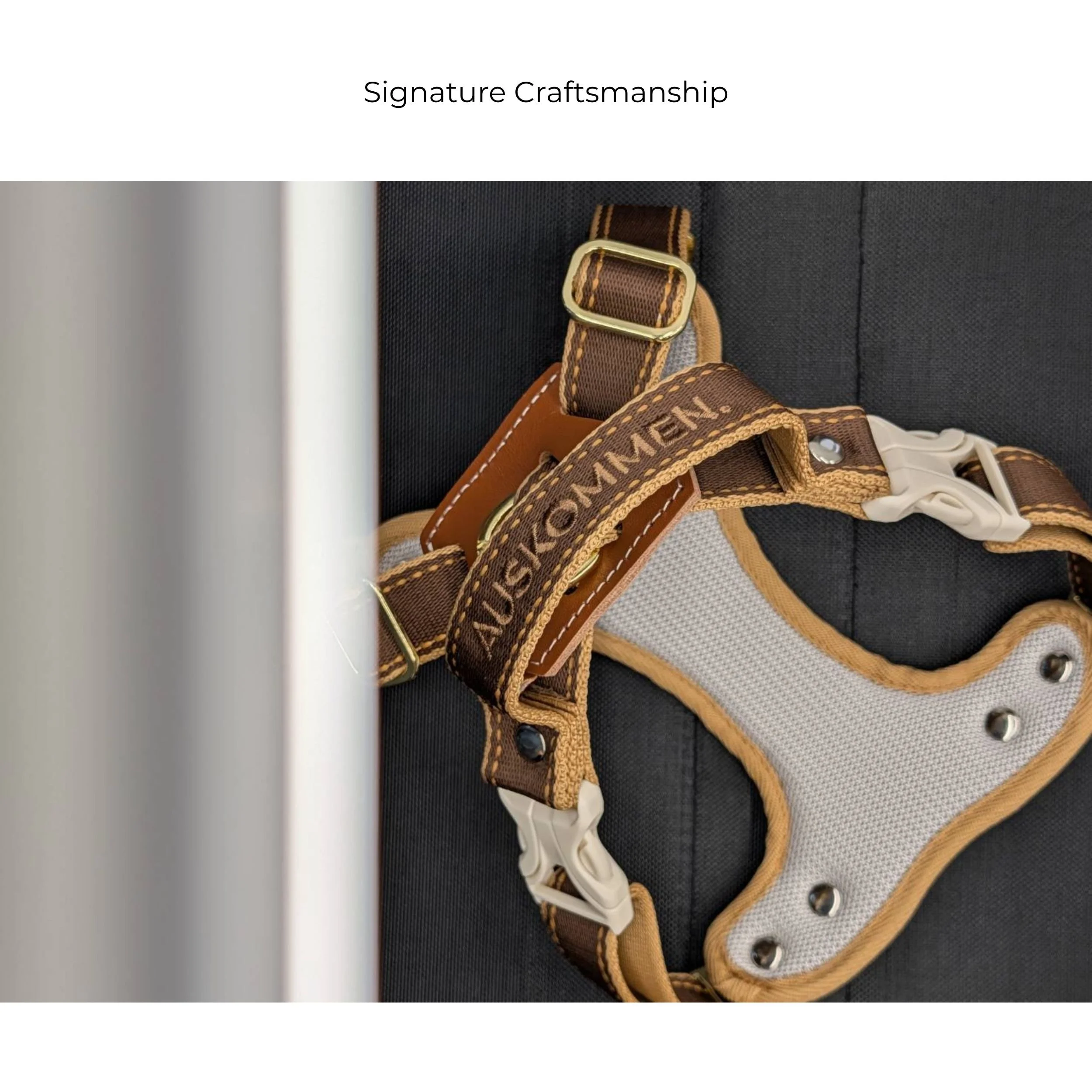 Y harness (2500 x 2500 像素) (11).jpg