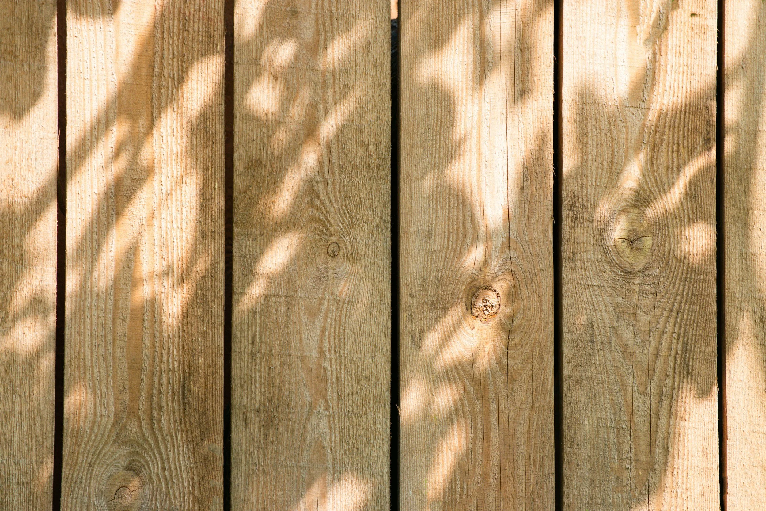 Close-up of a wooden fence with shadows of leaves cast across it.