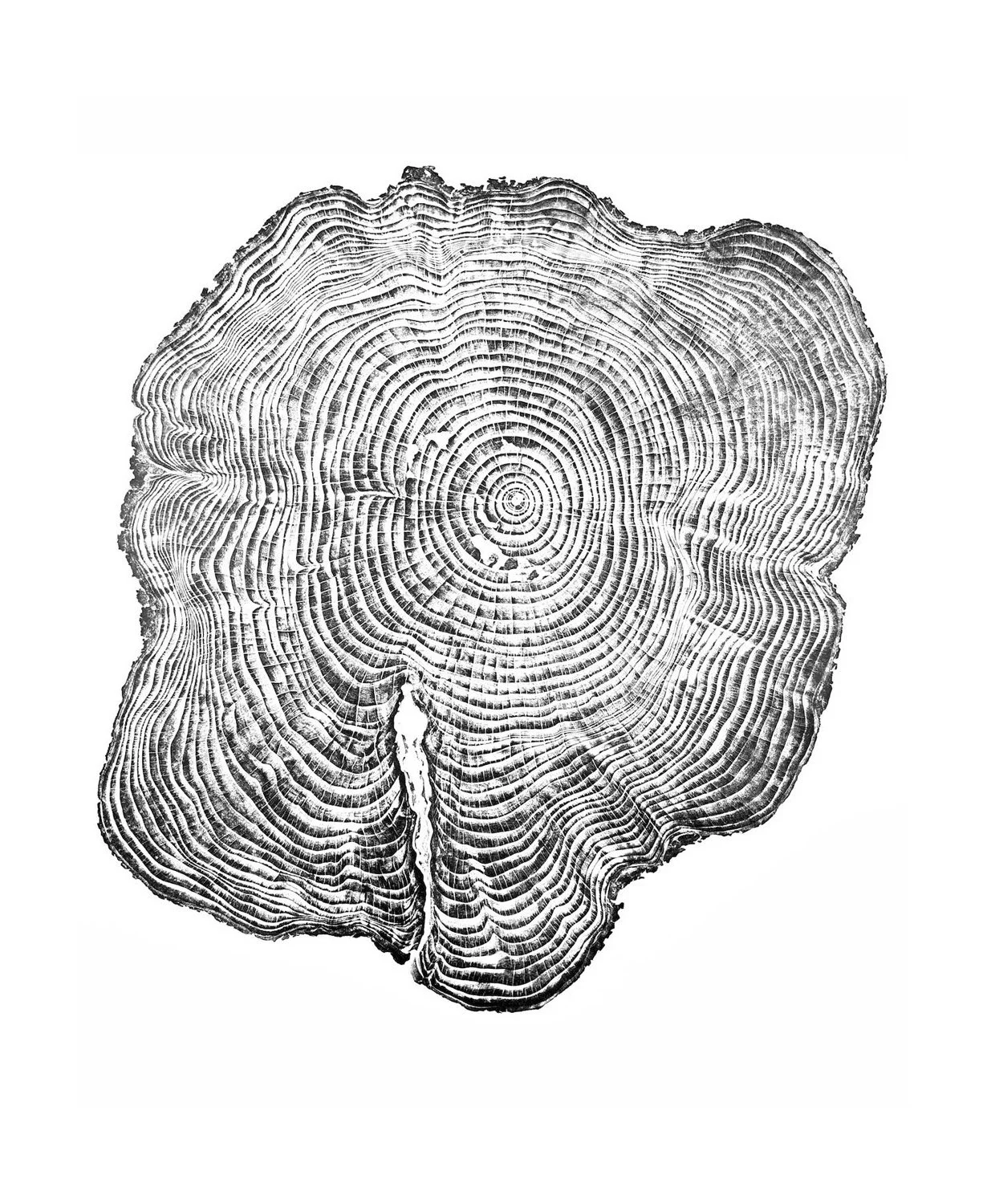 Portland Tree Prints