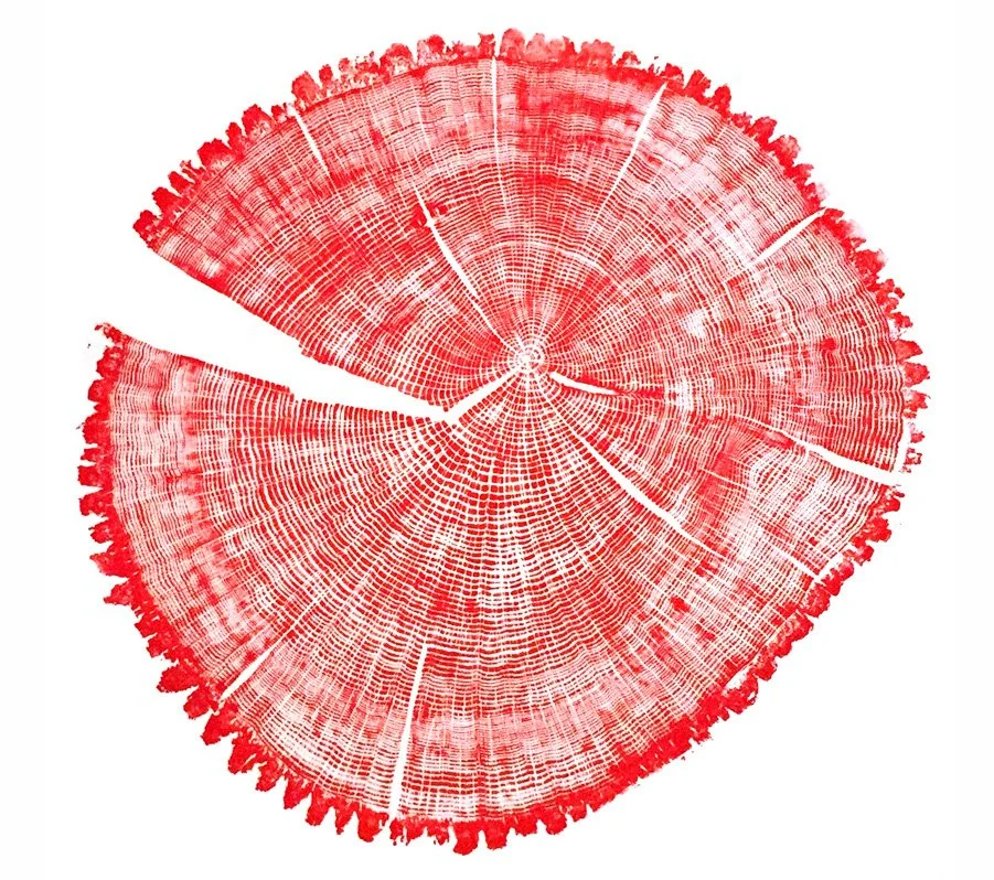 Oak, Beaverton
27 x 29"