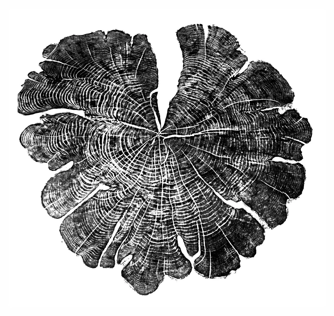 Hawthorne, North Portland
36 x 30"