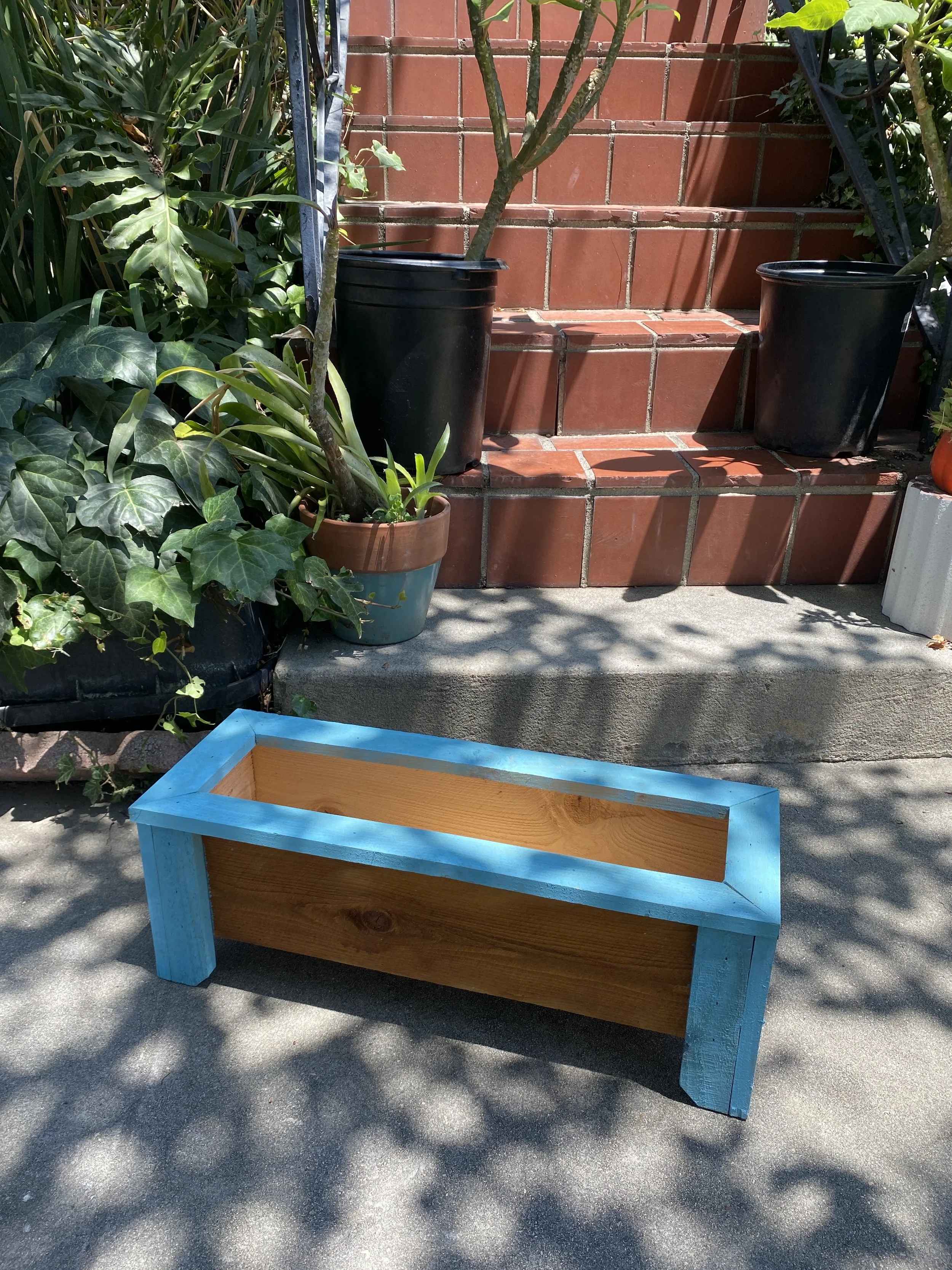 Photo Jul 25 2024, 1 09 57 PM.jpg