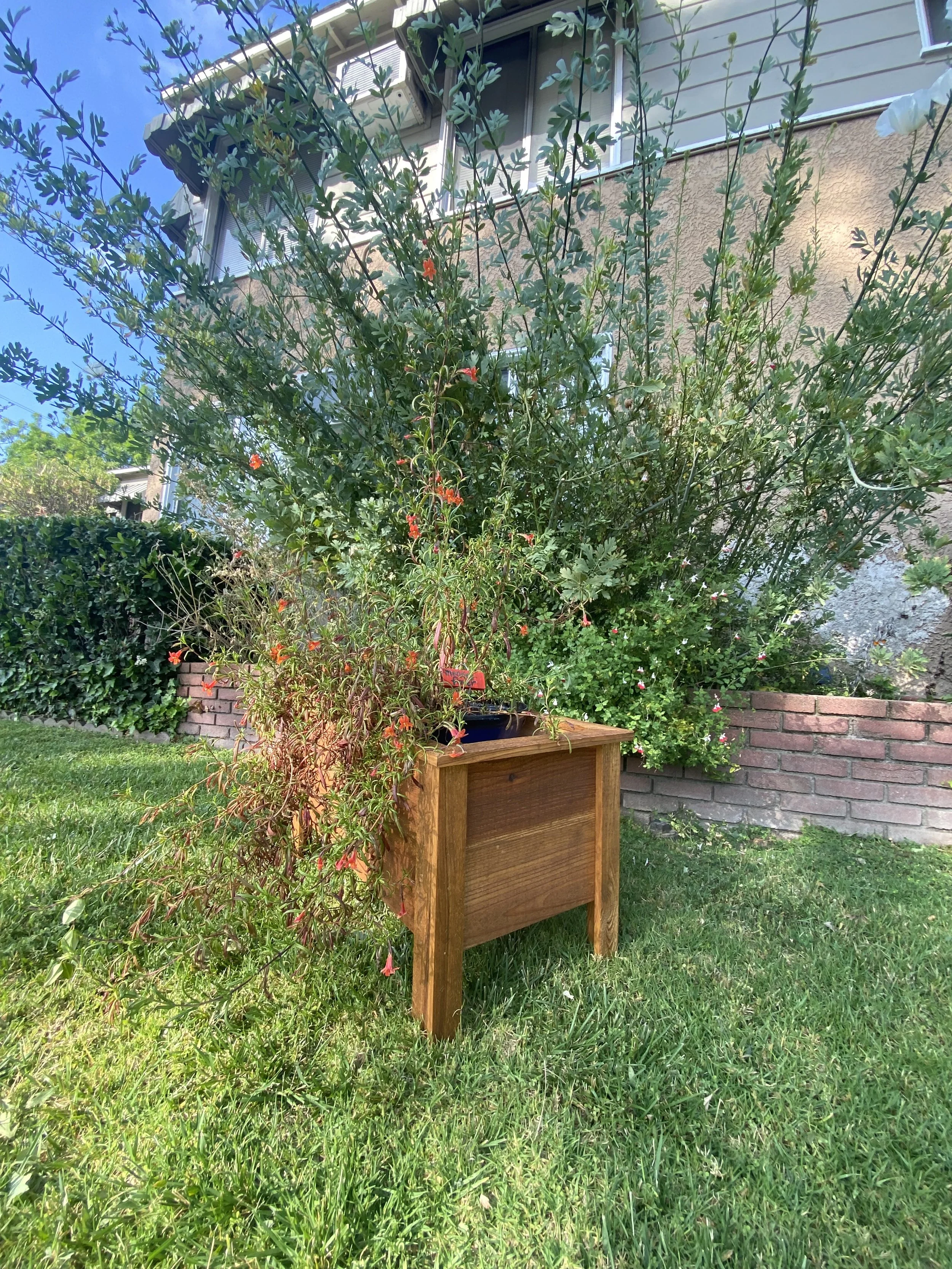 Photo May 16 2024, 5 23 57 PM.jpg