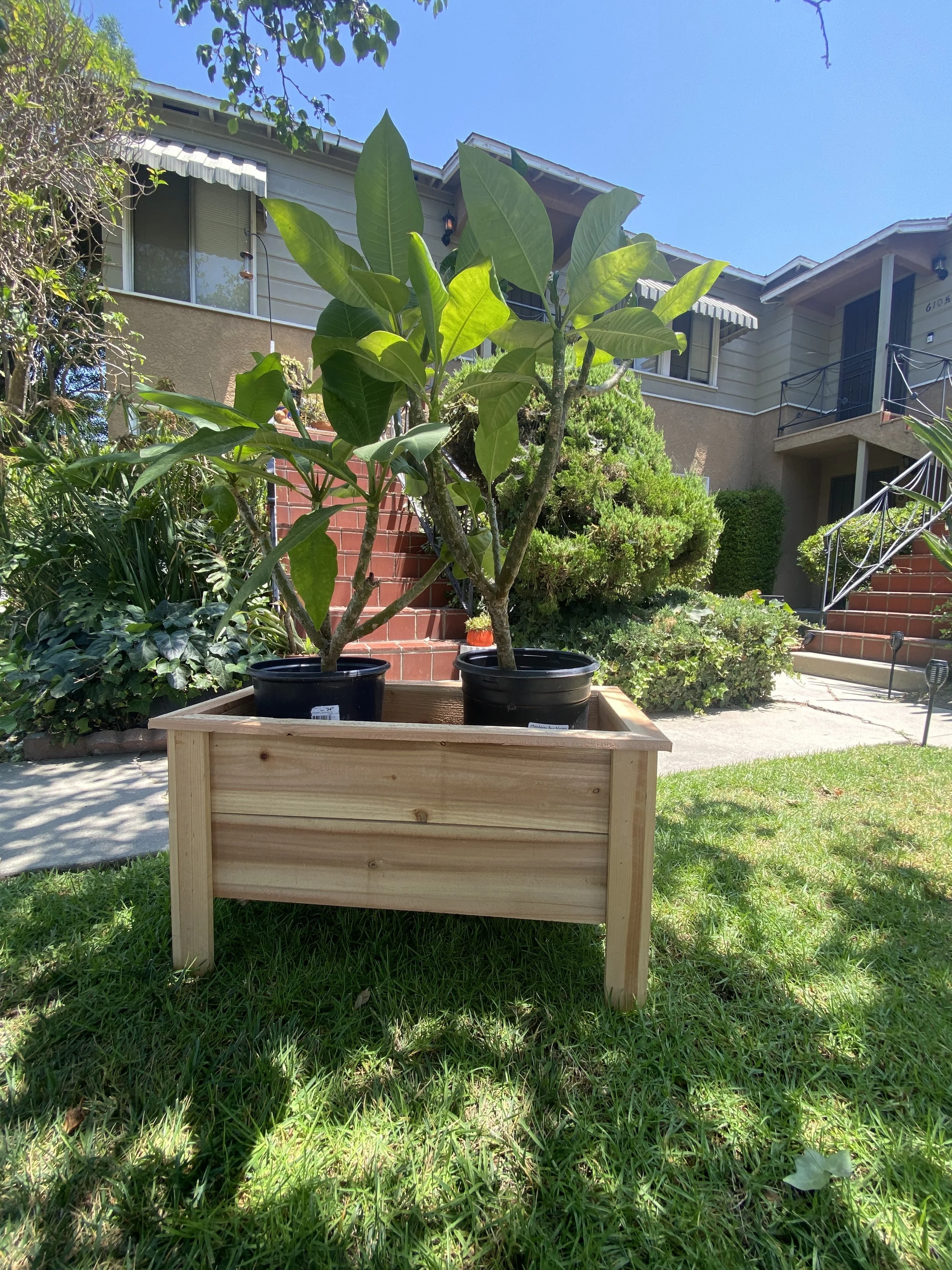 Photo Jul 25 2024, 1 04 42 PM.jpg