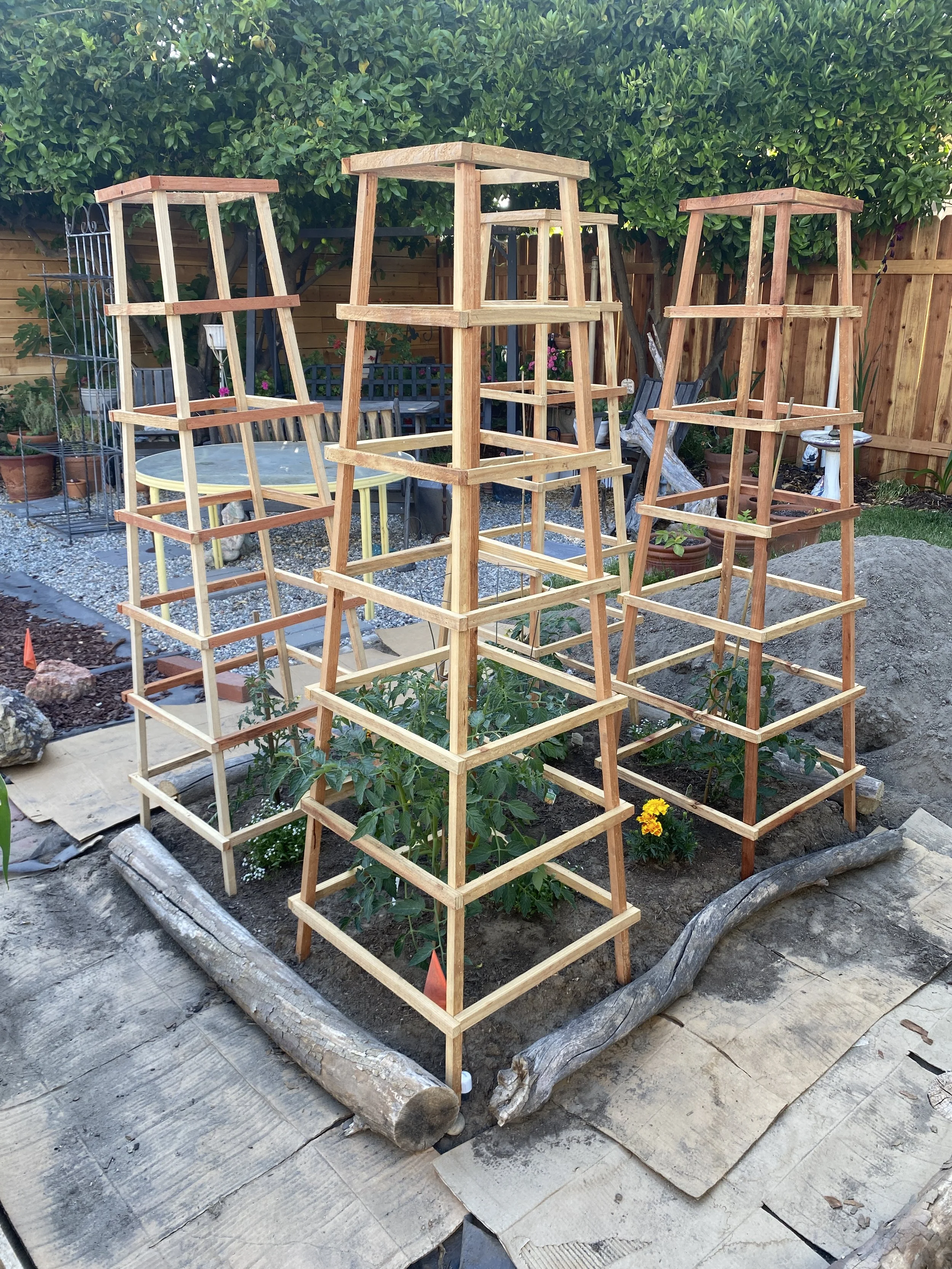 Photo May 22 2025, 6 03 39 PM.jpg